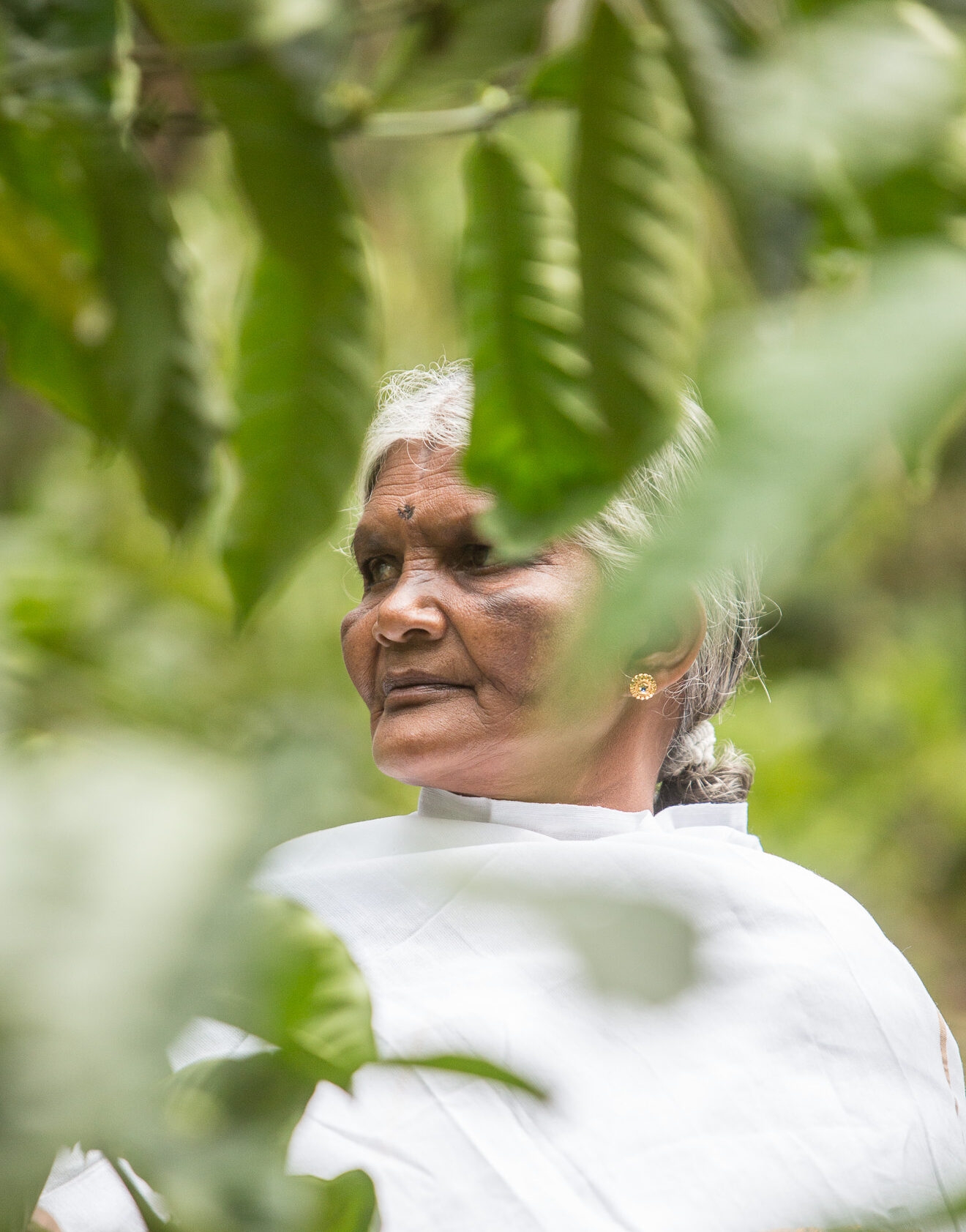 The Keeper of Indigenous Memory: Remembering Janagiamma