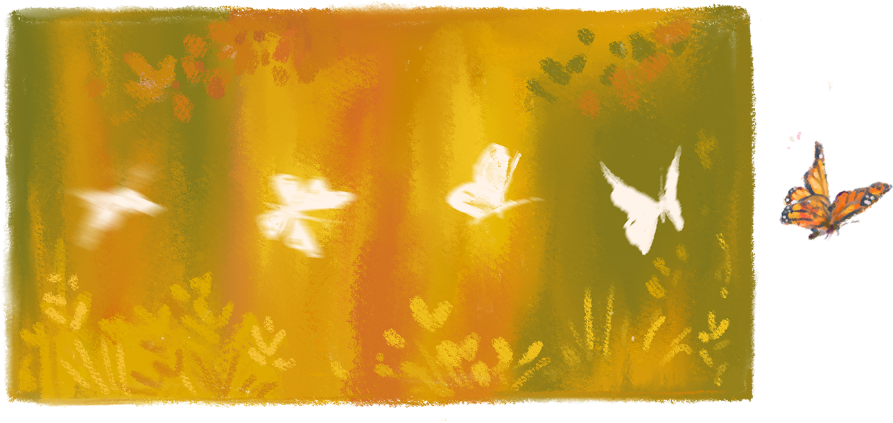 Pathways into Kinship: Lessons on Belonging from the Monarch Butterfly