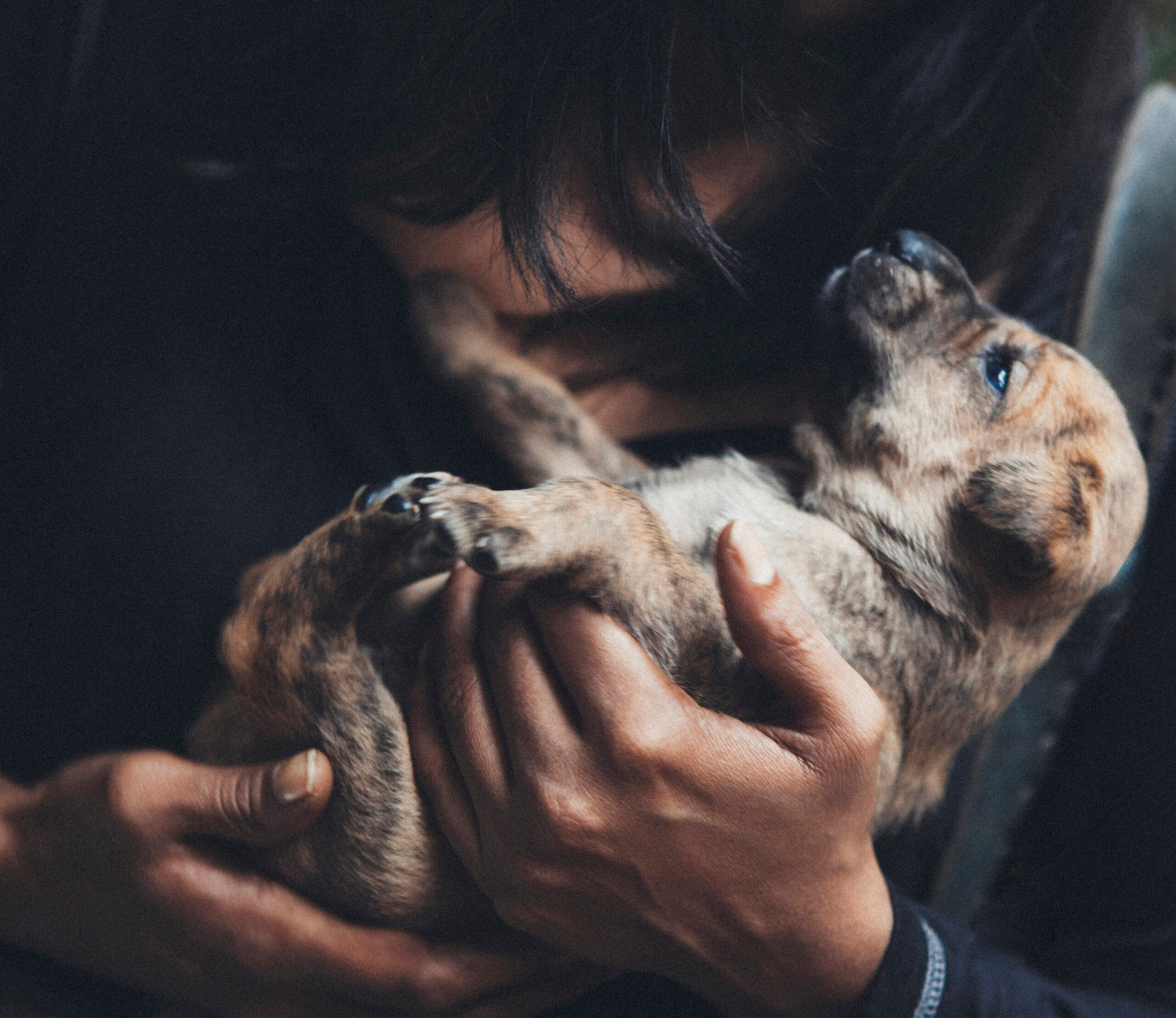 Co-Becoming: The Human-Dog Kinship