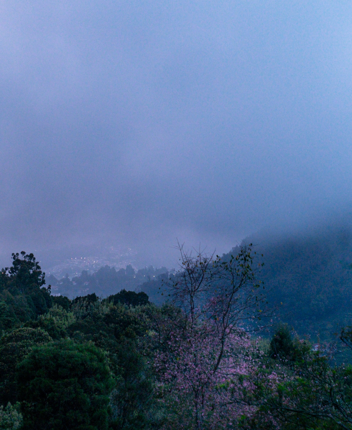 Mountain Magic