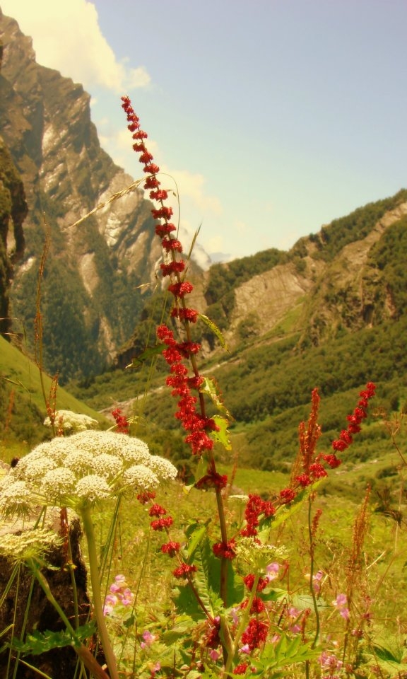 What do I Know From?