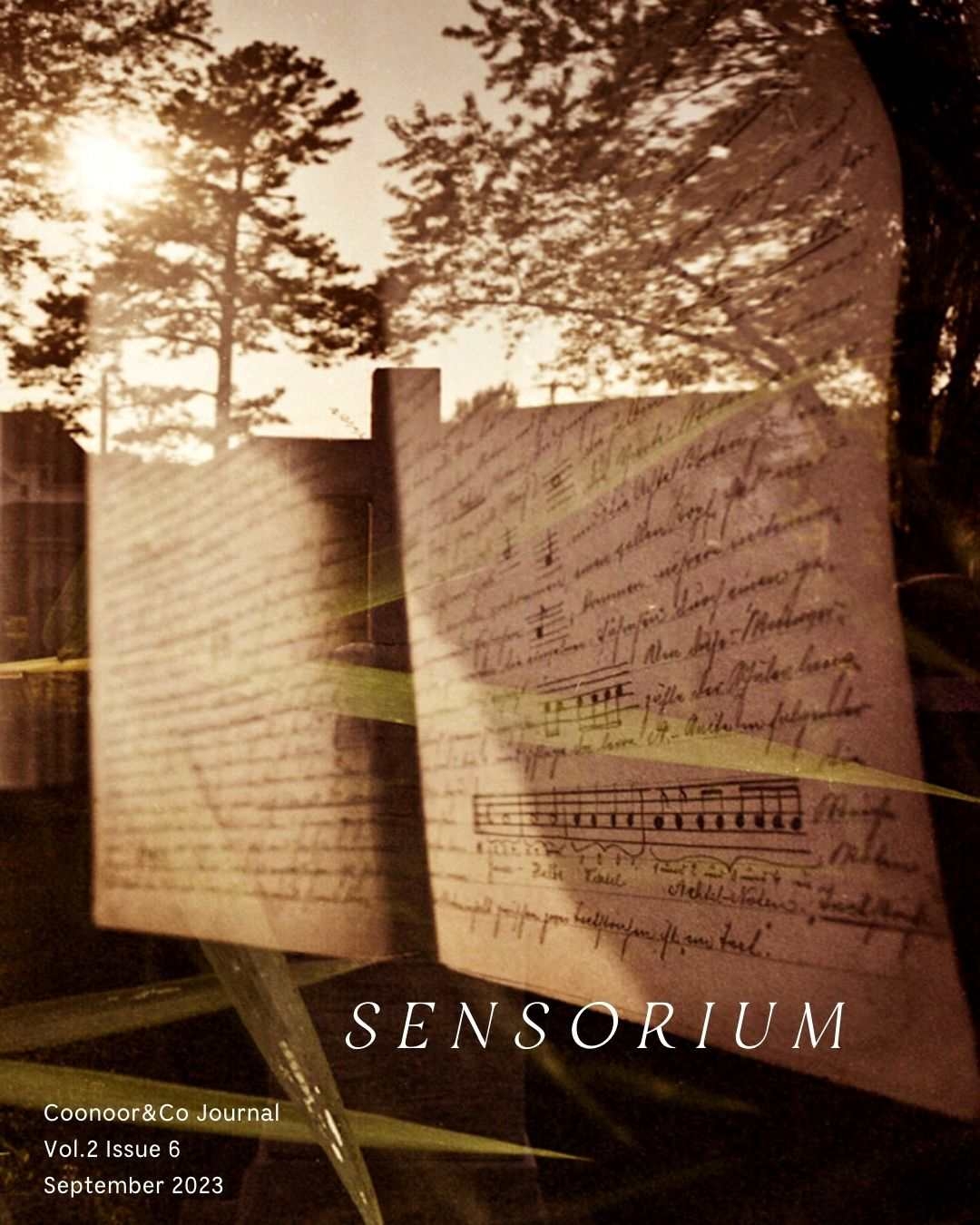 Sensorium