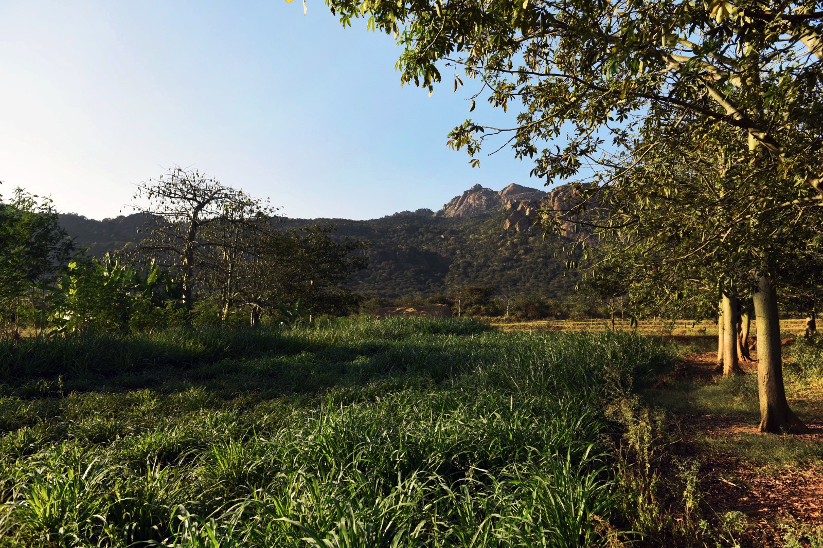 A Sacred Drift Called Bhoomi