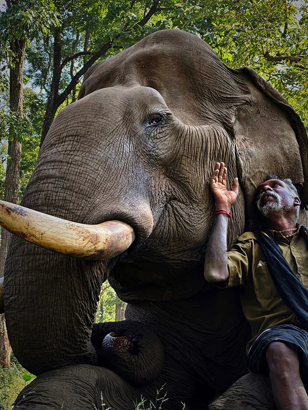 Keepers of the Elephant Hills