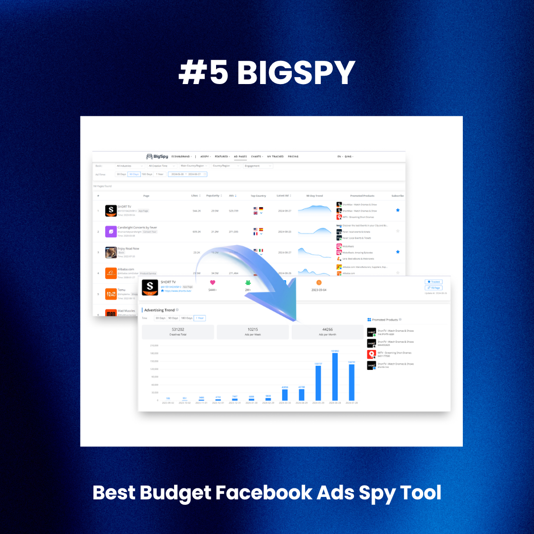 BIGSPY