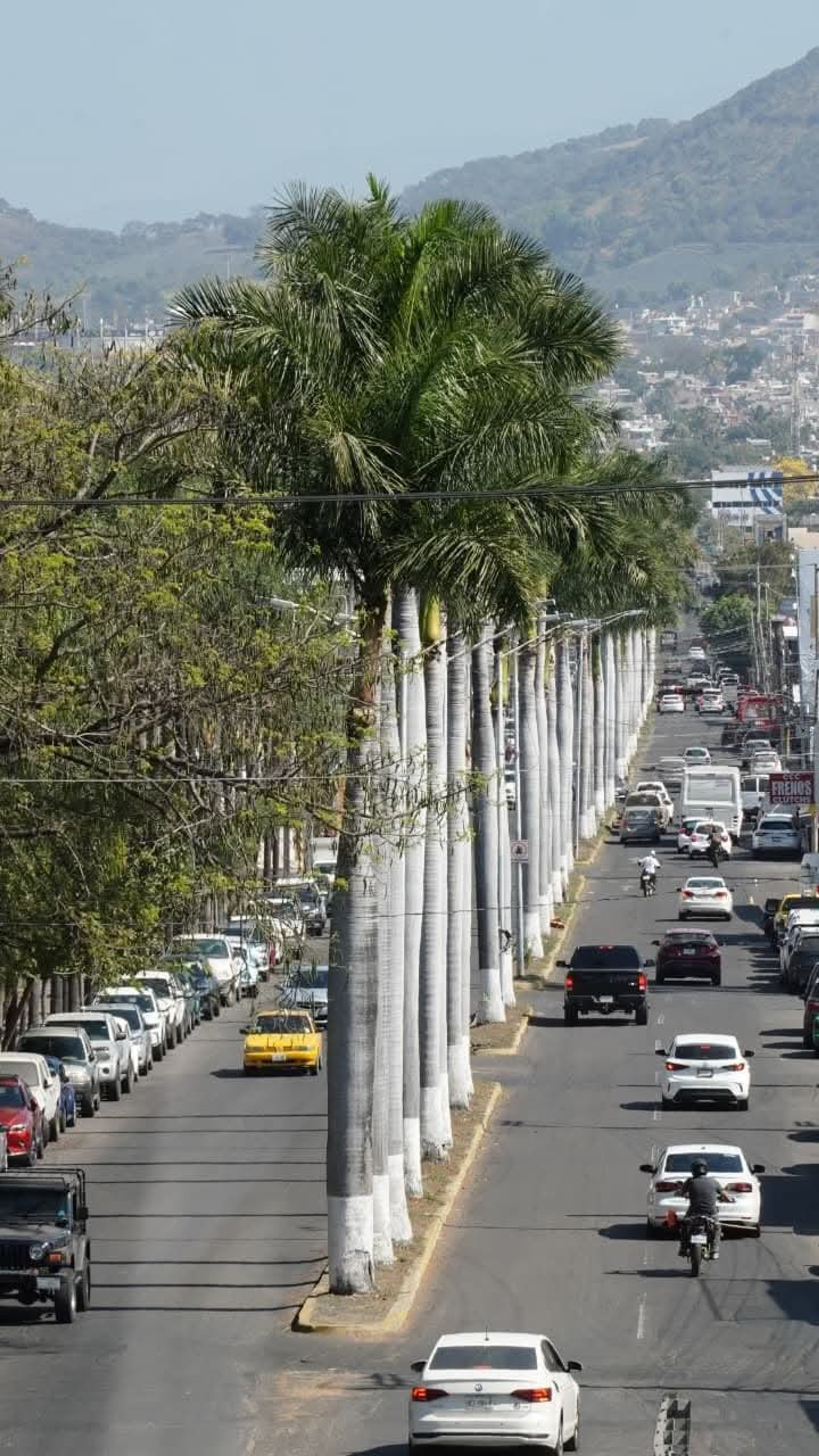 CALLE JACARANDAS TEPIC 