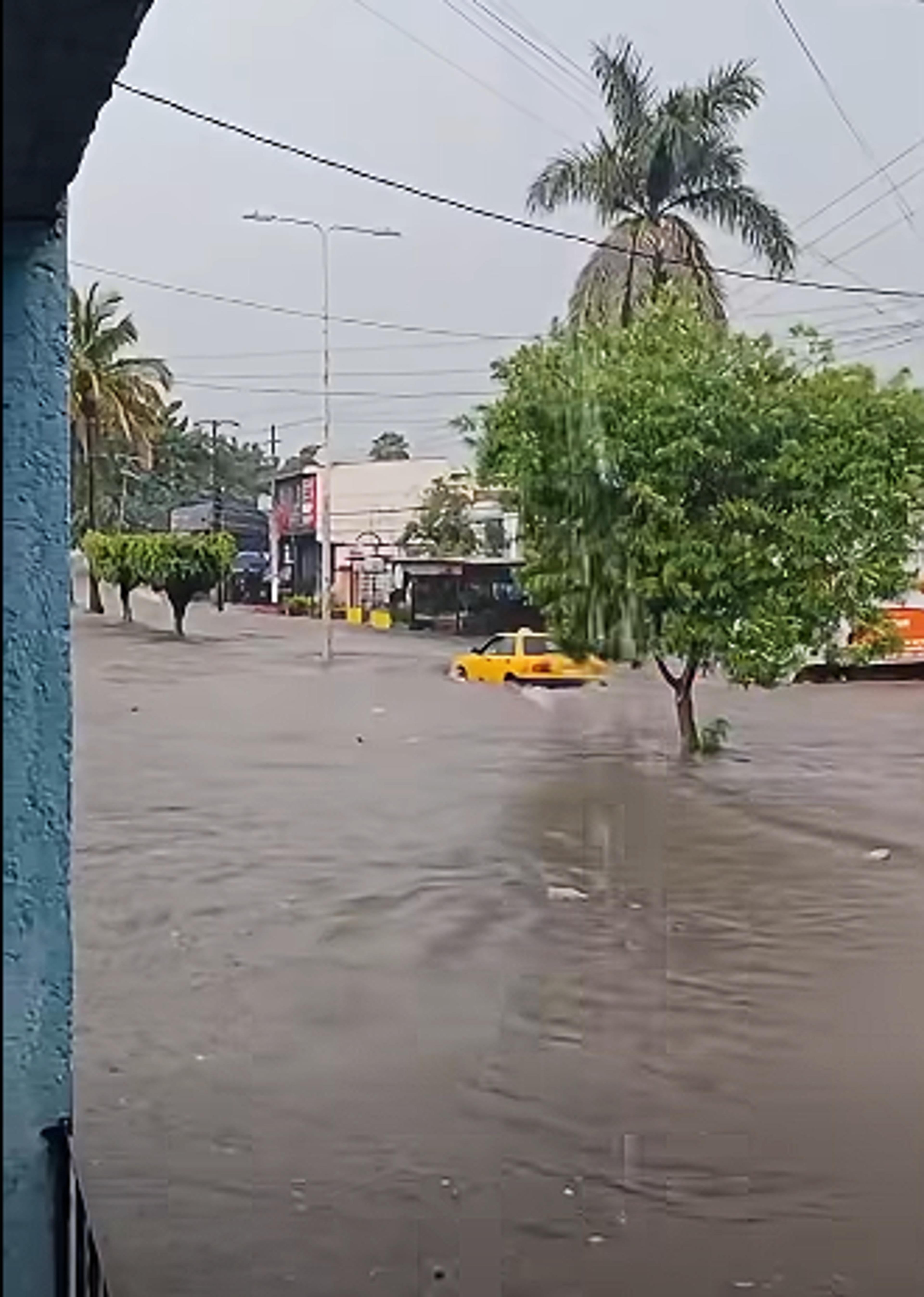 POR TERCO, TAXISTA TERMINA CON EL VEHÍCULO FLOTANDO EN ZONA INUNDADA DE TEPIC