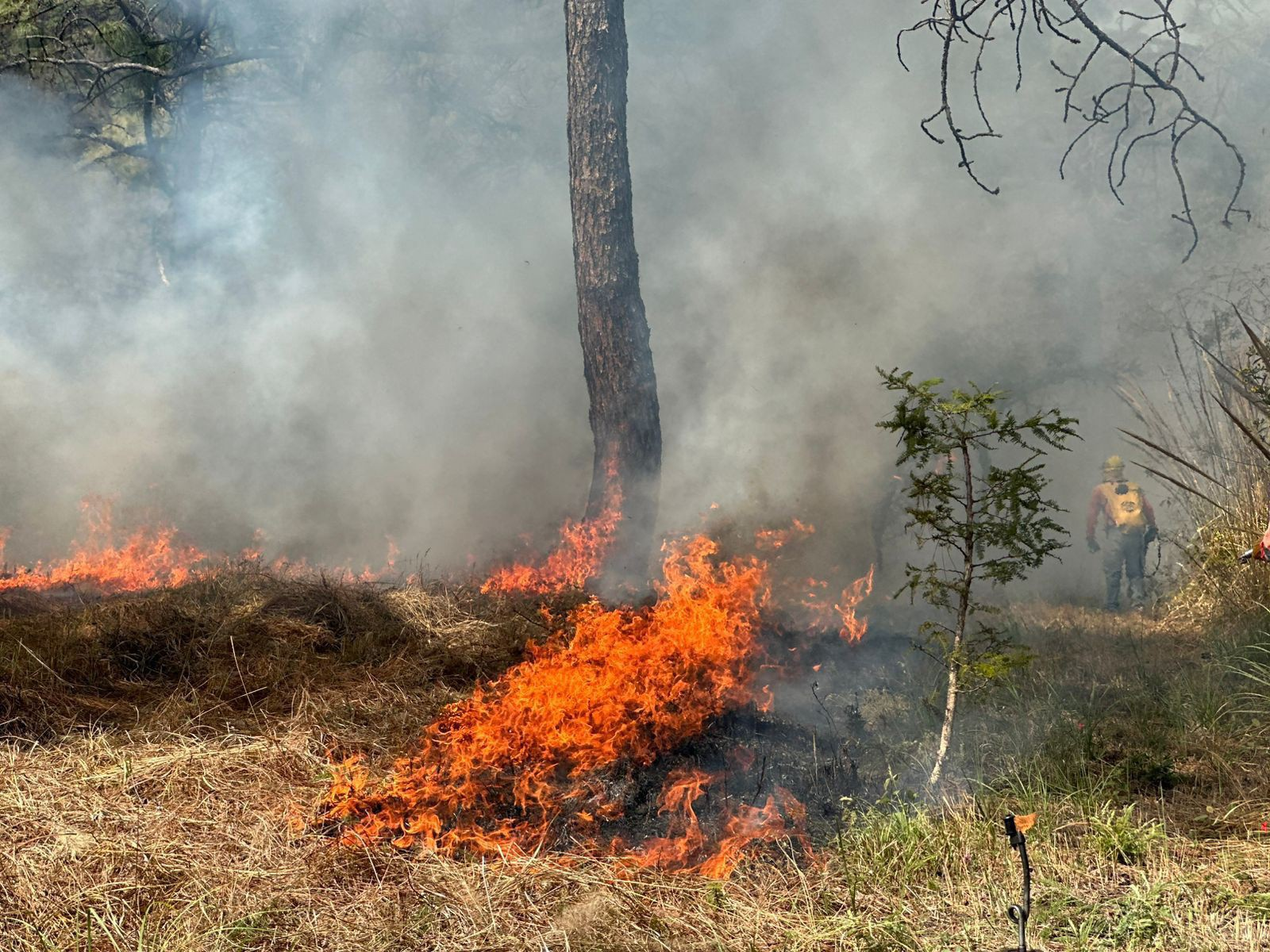 🚨AVISO DE QUEMA CONTROLADA EN XALISCO