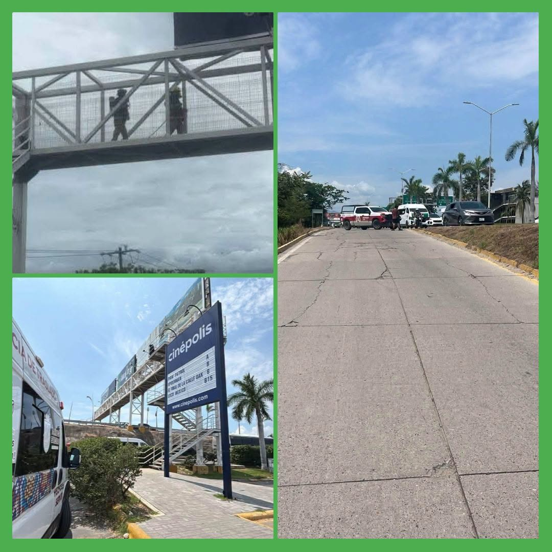 ABEJAS PROVOCAN MOMENTOS DE TENSIÓN EN BAHÍA DE BANDERAS, SIETE PERSONAS RESULTARON AFECTADAS