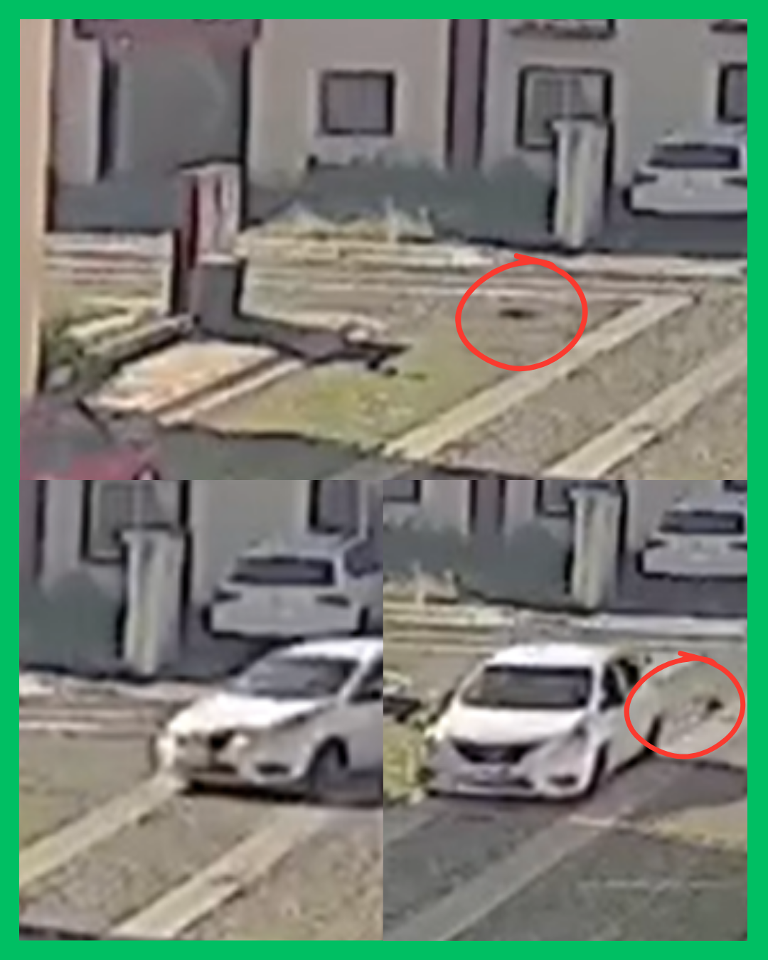 馃惗馃毃 BUSCAN A CONDUCTOR QUE ATROPELL脫 A UN PERRITO EN FRACC. REAL MONTECARLO