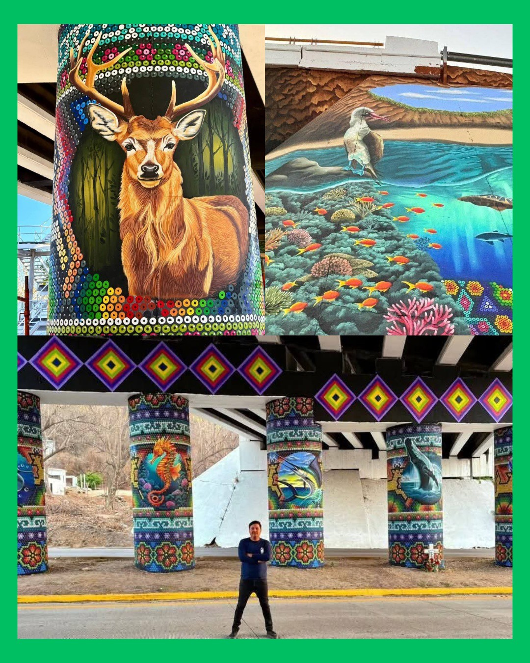 UN SOLO HOMBRE, UN TALENTO QUE TRANSFORMA NAYARIT