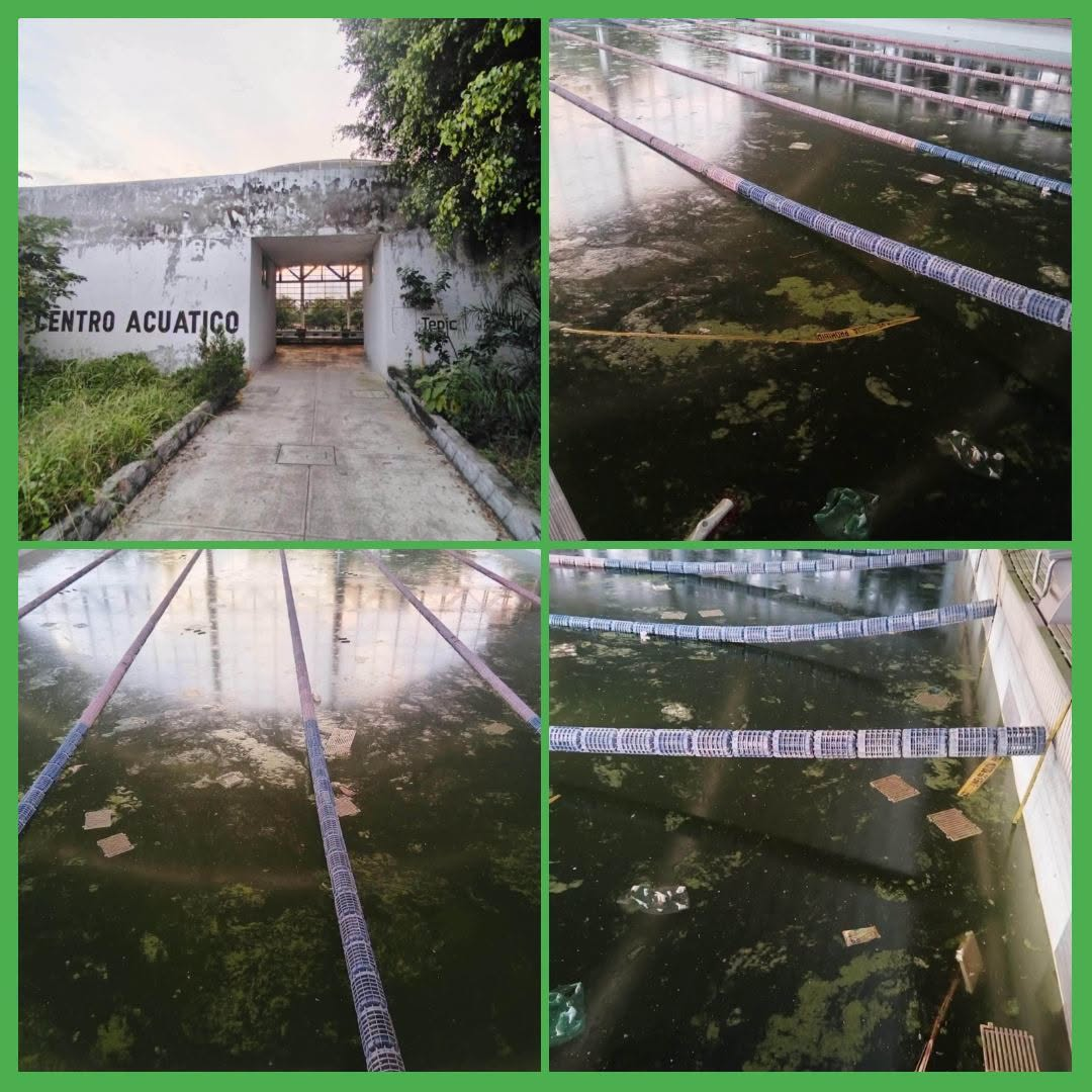 DESCUIDO Y ABANDONO EN TEPIC