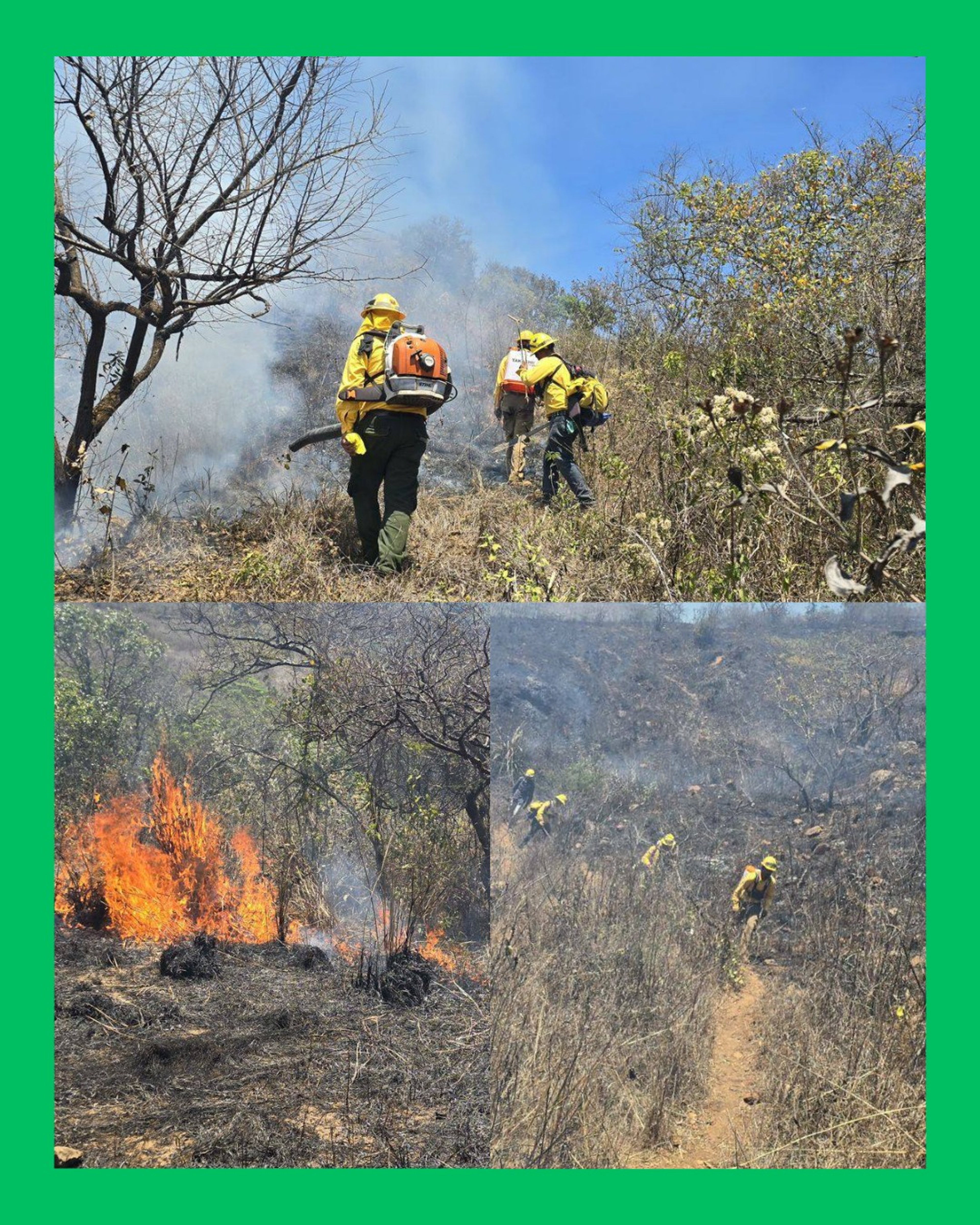 ATIENDEN INCENDIO EN EL CERRO DE LA CAMPANA EN TEPIC