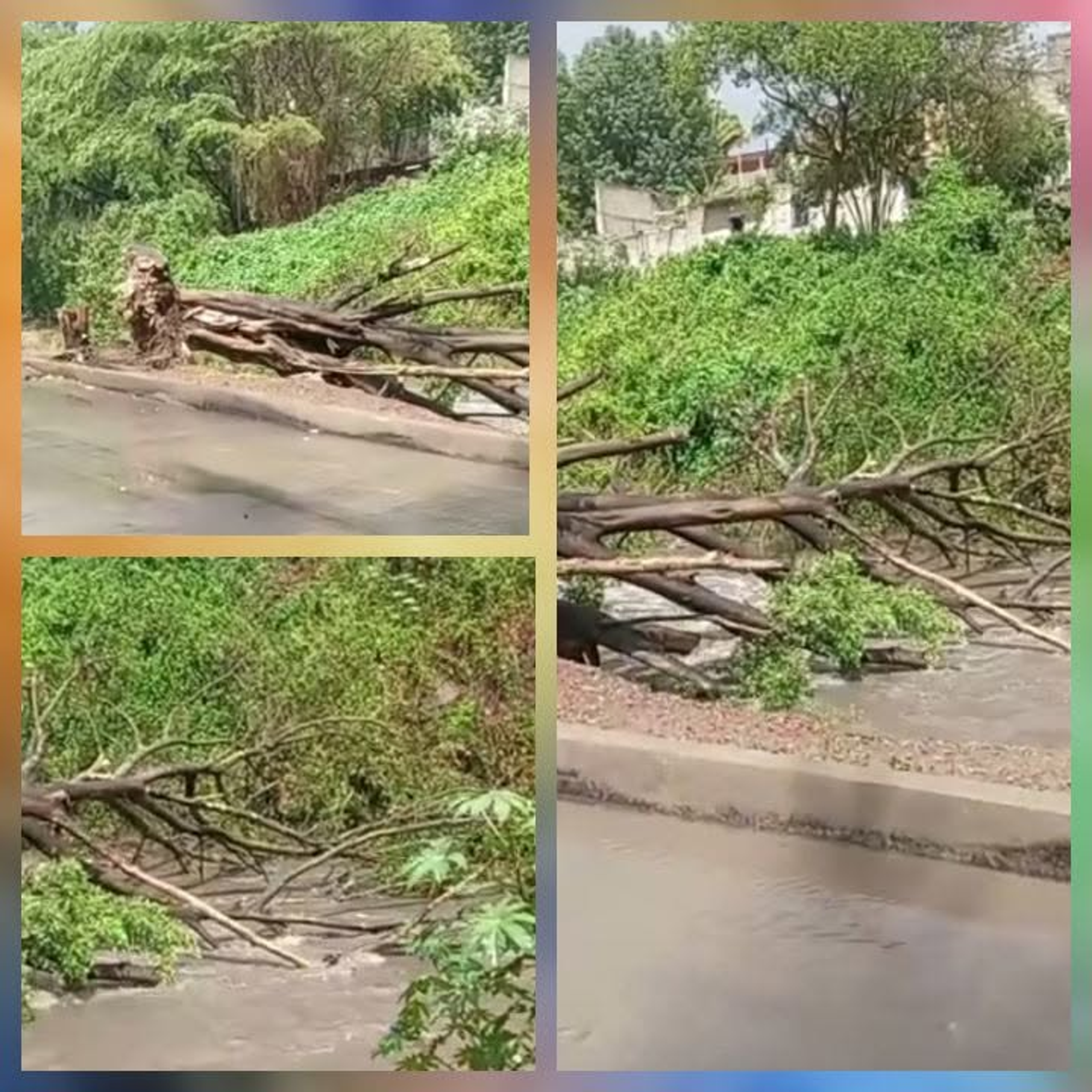 AFECTACIONES GRAVES DEJA LLUVIAS EN TEPIC