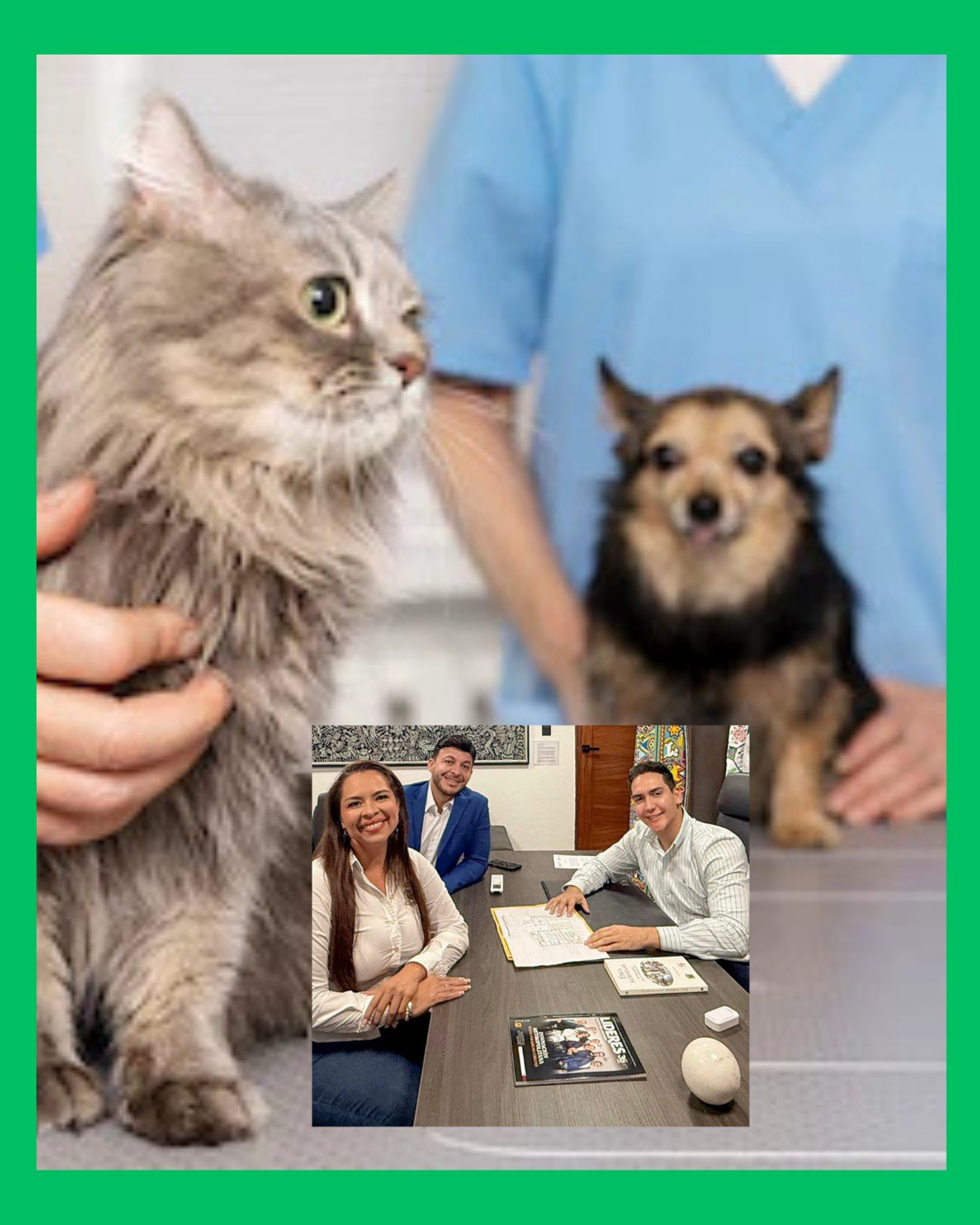 CENTRO DE BIENESTAR ANIMAL SERÁ UNA REALIDAD EN BAHÍA DE BANDERAS 