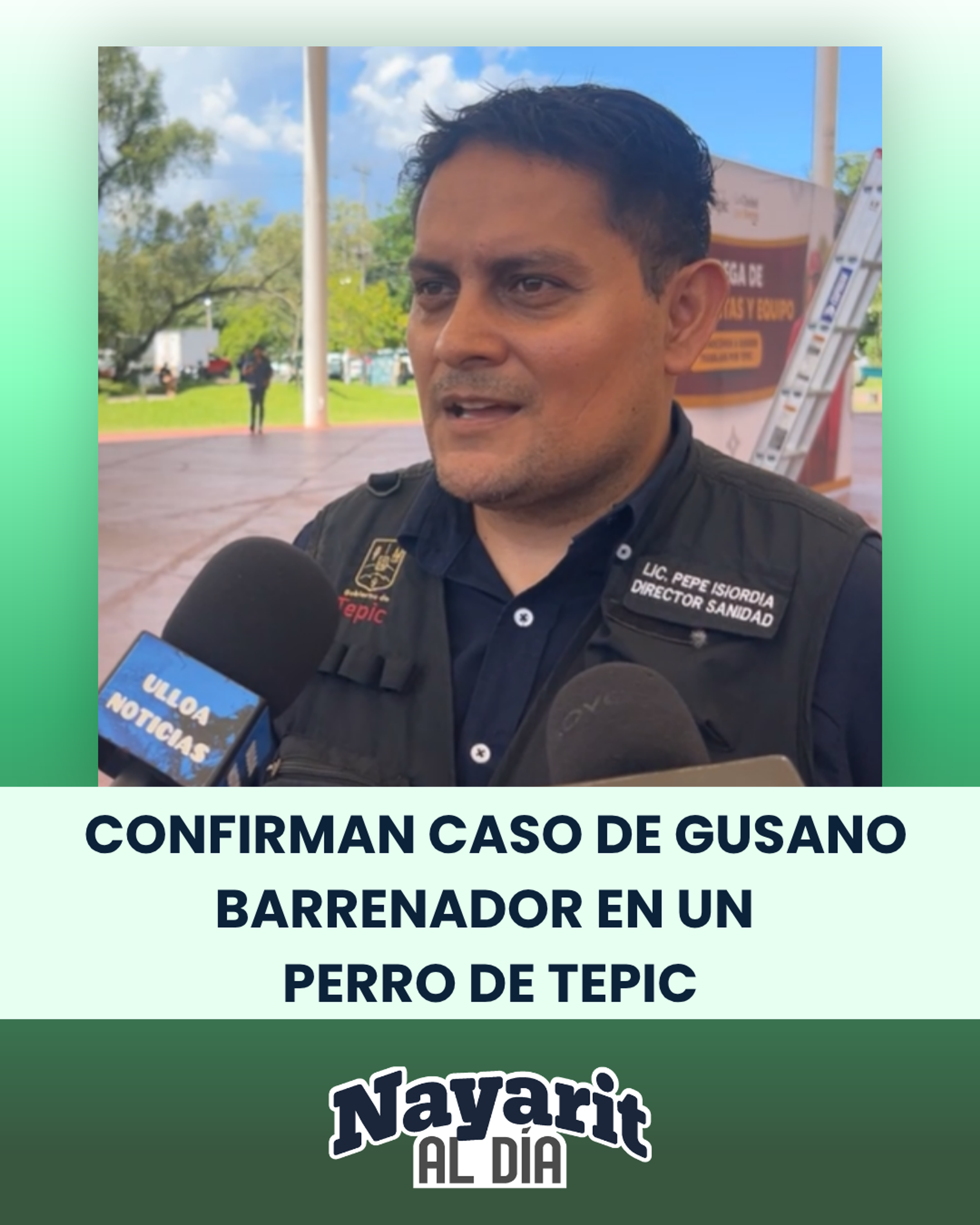 CONFIRMAN CASO DE GUSANO BARRENADOR EN UN PERRO DE TEPIC