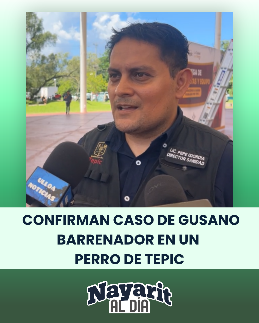 CONFIRMAN CASO DE GUSANO BARRENADOR EN UN PERRO DE TEPIC