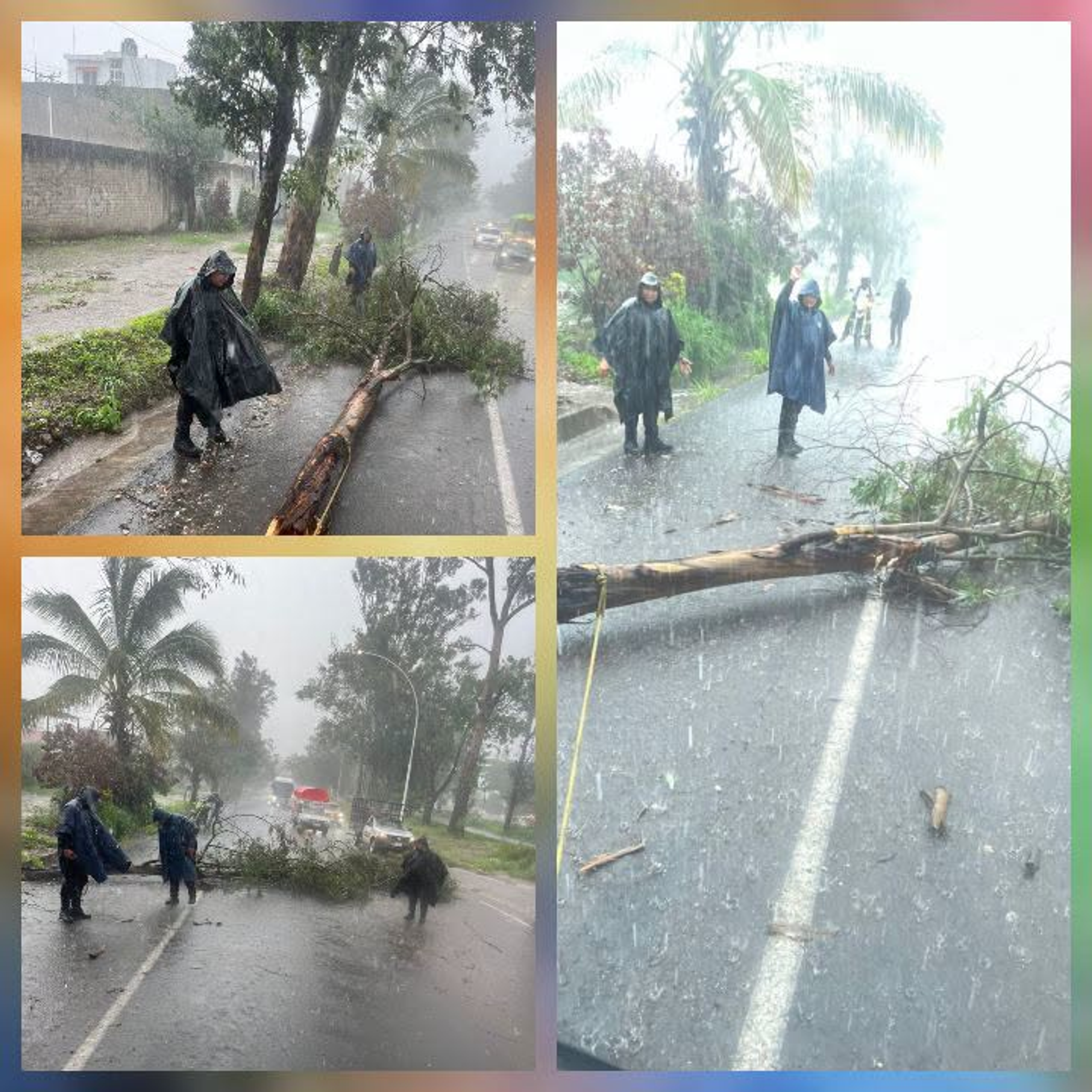 RETIRAN RAMAS CAÍDAS DEL LIBRAMIENTO CARRETERO DE TEPIC TRAS LAS LLUVIAS