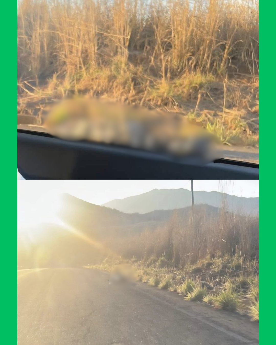 🚨⚠️ LOCALIZAN A UN HOMBRE SIN V!D4 A UN COSTADO DE LA CARRETERA EN SANTA MARÍA DEL ORO