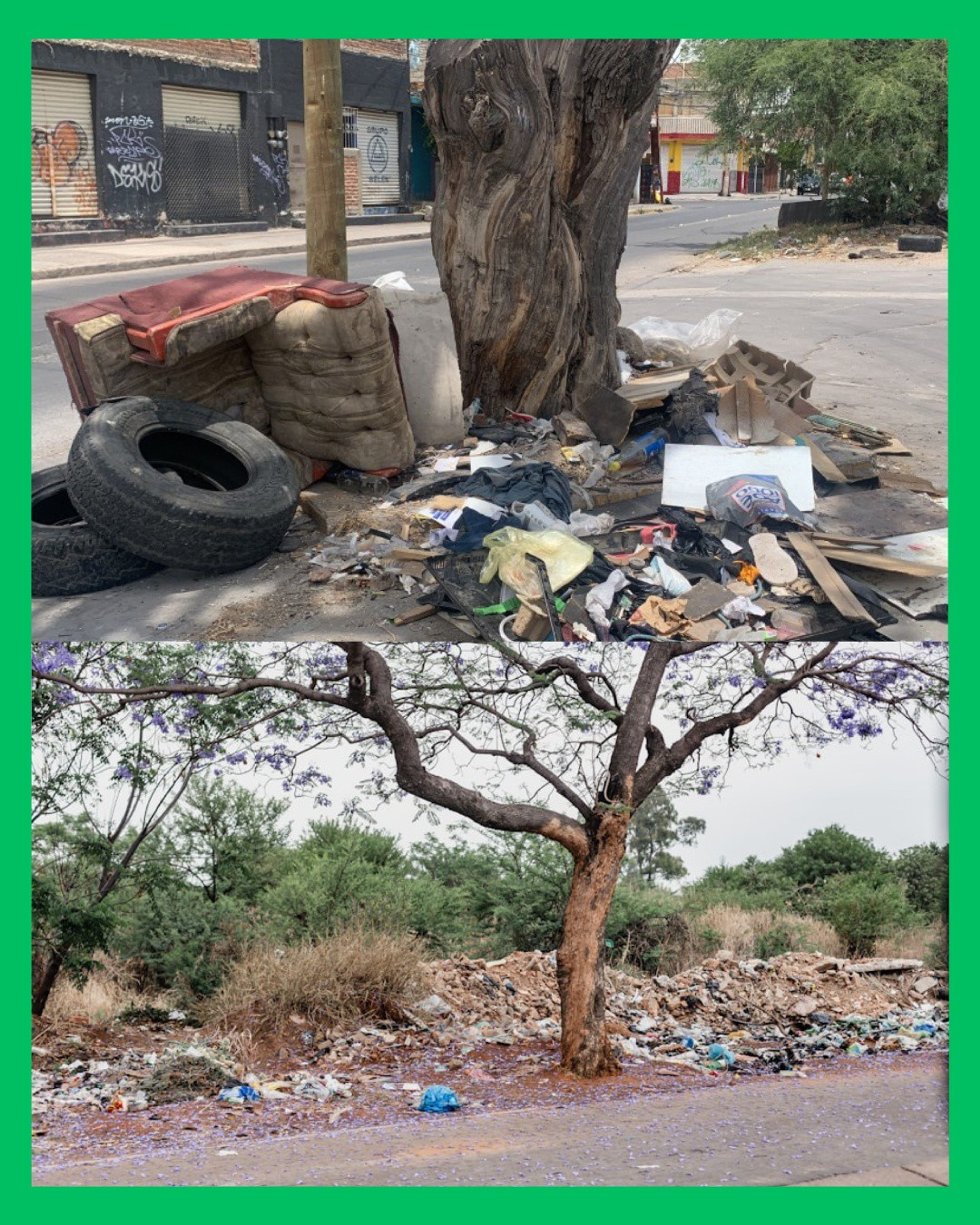 ¡TE PUEDE COSTAR CARO! HASTA $4 MIL DE MULTA POR TIRAR BASURA EN TEPIC 