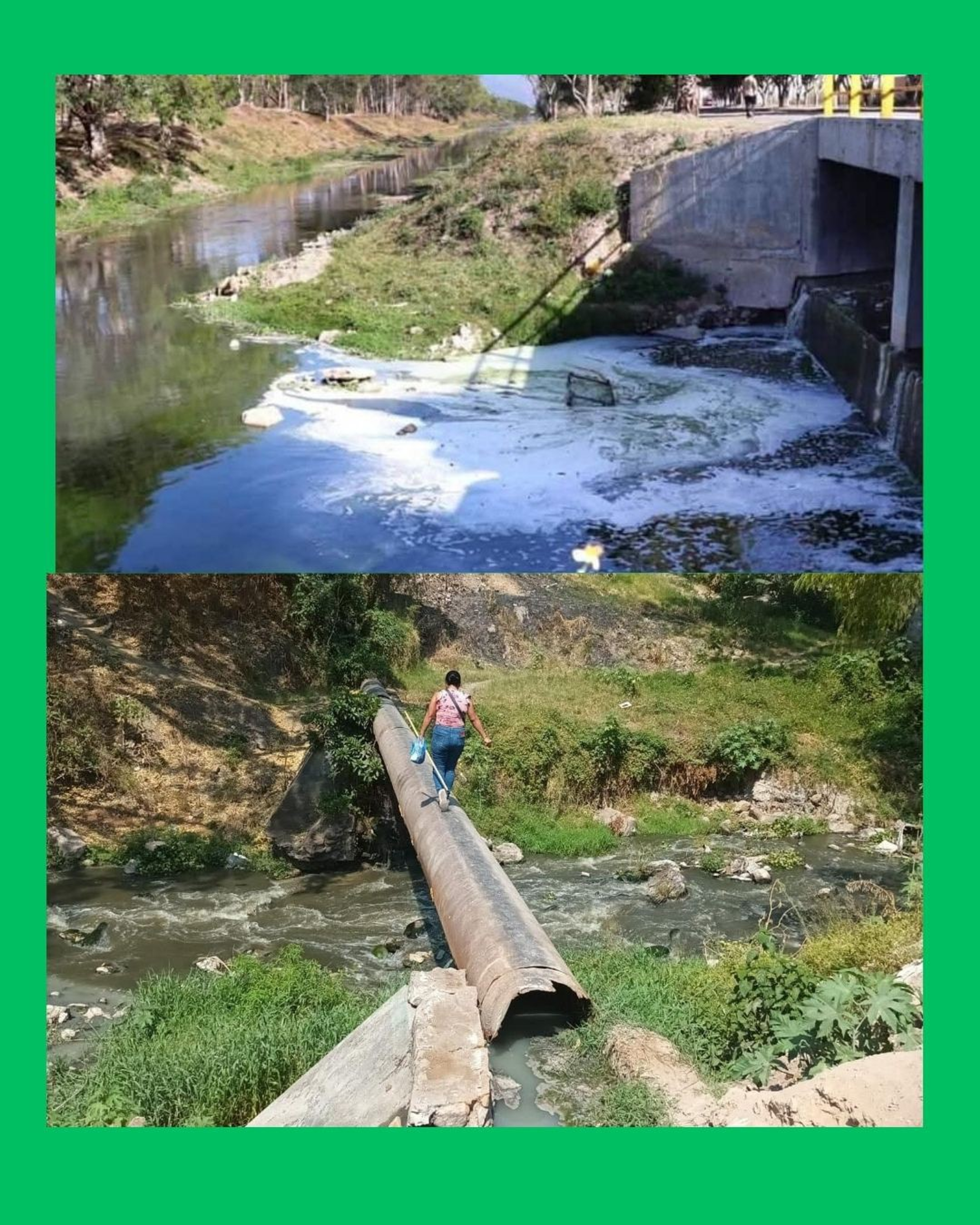 CONTAMINAN EL MOLOLOA: SANCIONAN A GRANJAS CON MULTAS MILLONARIAS