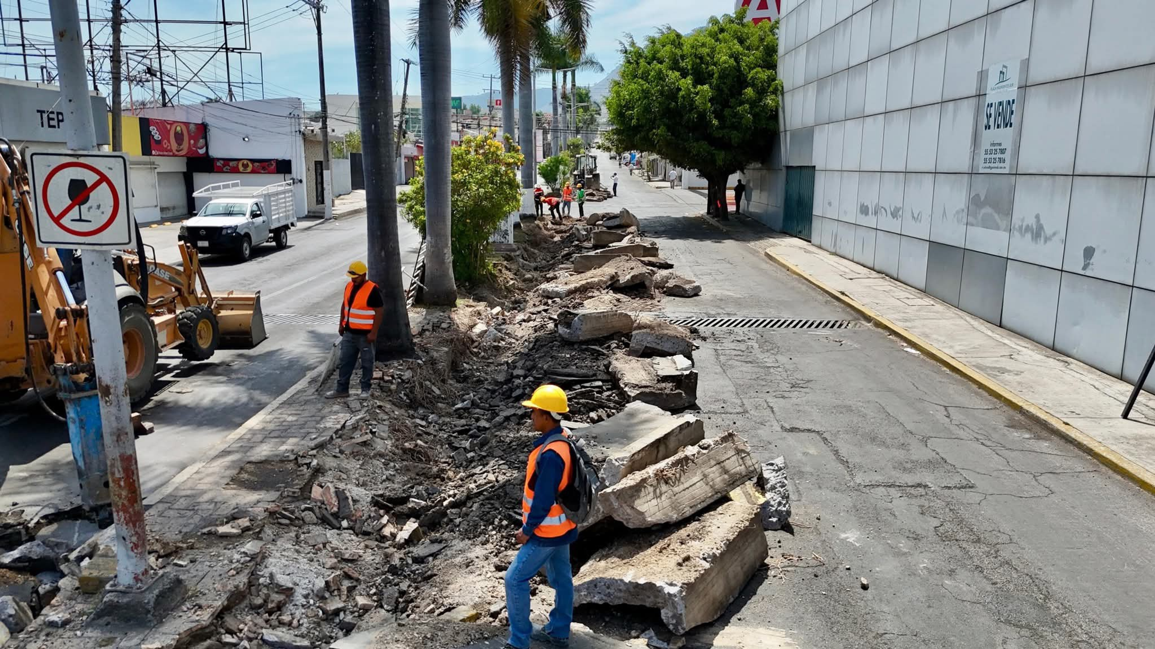 AVENIDA JACARANDAS TEPIC 