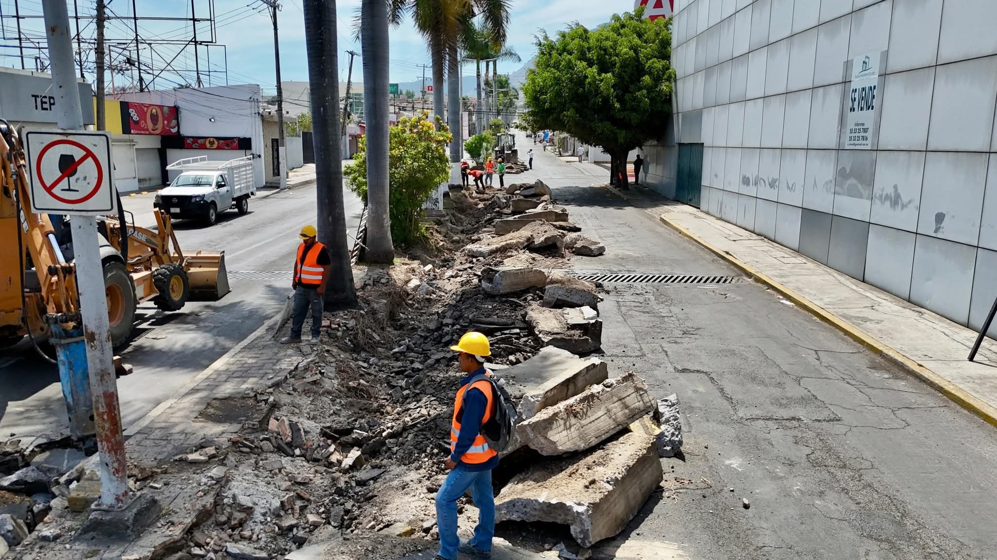 AVENIDA JACARANDAS TEPIC