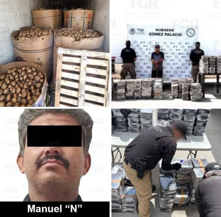JÍCAMA DE NAYARIT ERA UTILIZADA PARA OCULTAR CASI UNA TONELADA DE METANFETAMINA