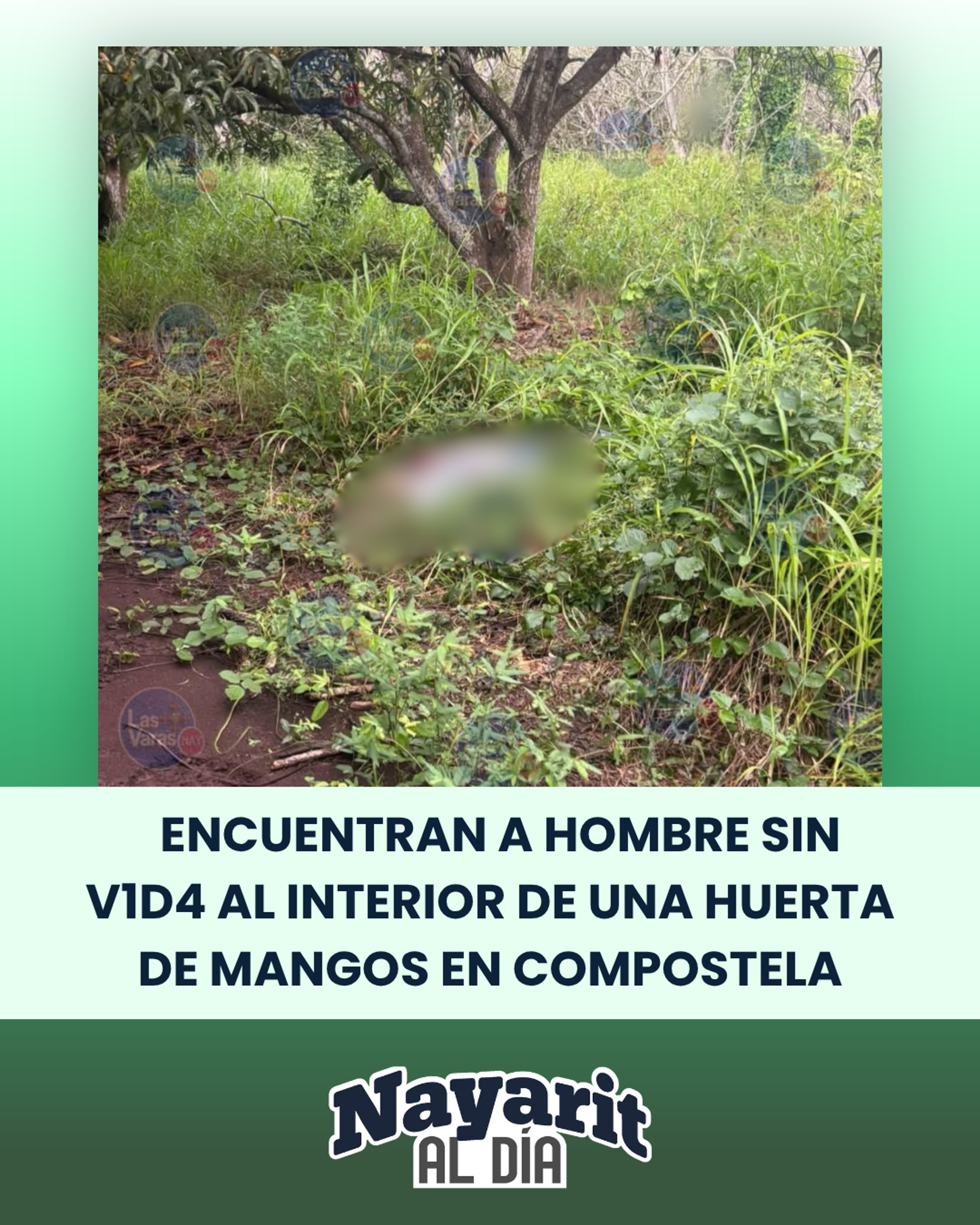 ENCUENTRAN A HOMBRE SIN V1D4 AL INTERIOR DE UNA HUERTA DE MANGOS EN COMPOSTELA  