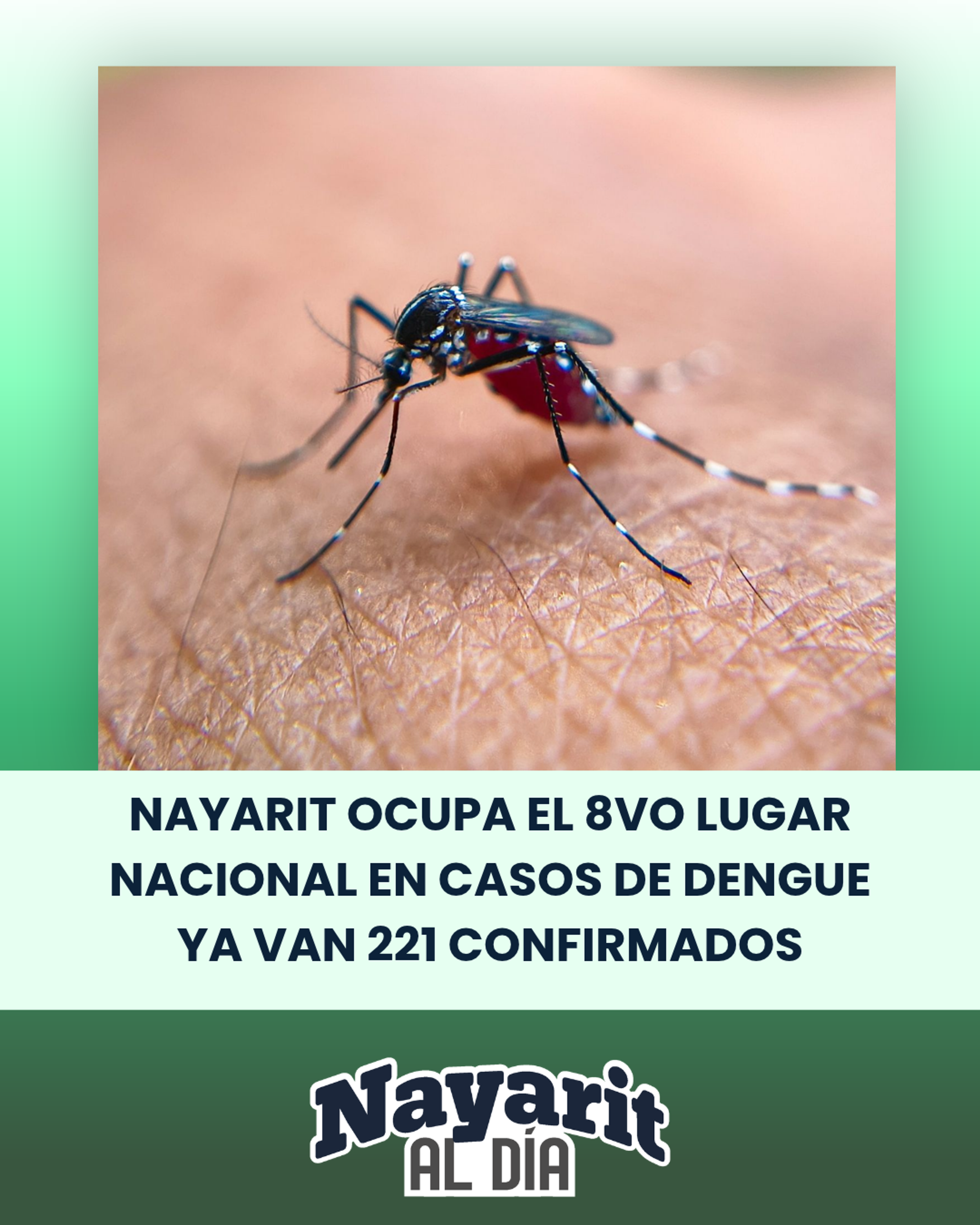 NAYARIT OCUPA EL 8VO LUGAR NACIONAL EN CASOS DE DENGUE ,YA VAN 221 CONFIRMADOS