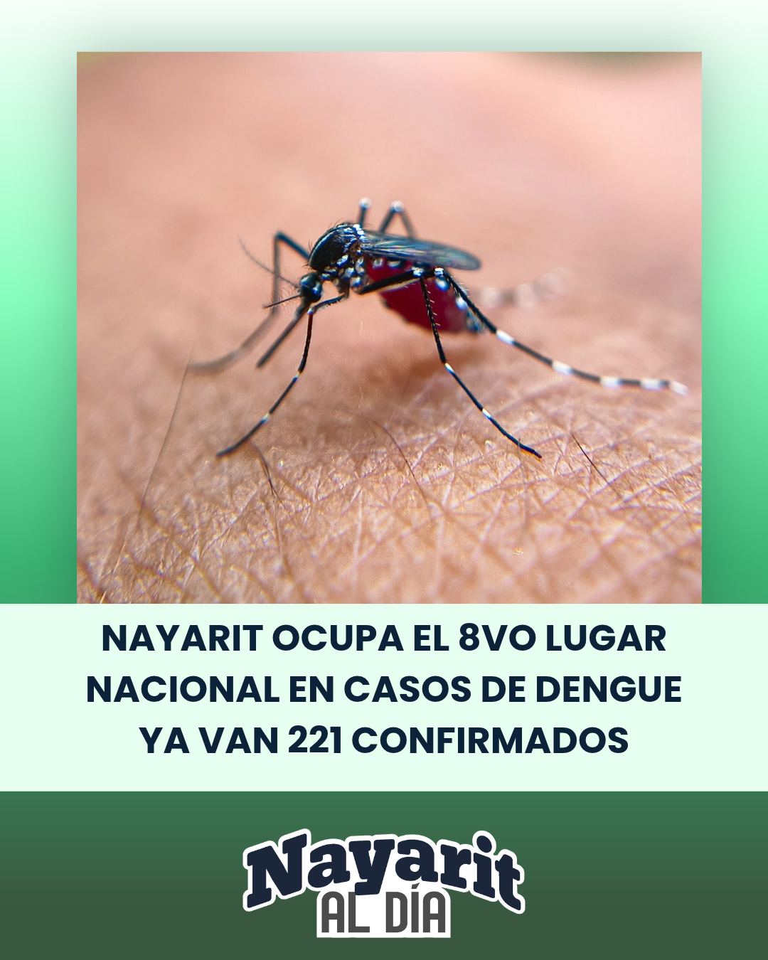 NAYARIT OCUPA EL 8VO LUGAR NACIONAL EN CASOS DE DENGUE ,YA VAN 221 CONFIRMADOS