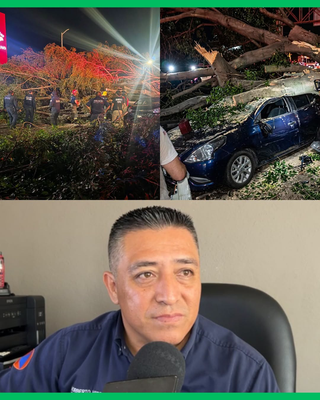 ¡TORMENTA DEJA 24 ÁRBOLES DERRIBADOS, DAÑOS Y TRES PERSONAS LESIONADAS EN TEPIC!