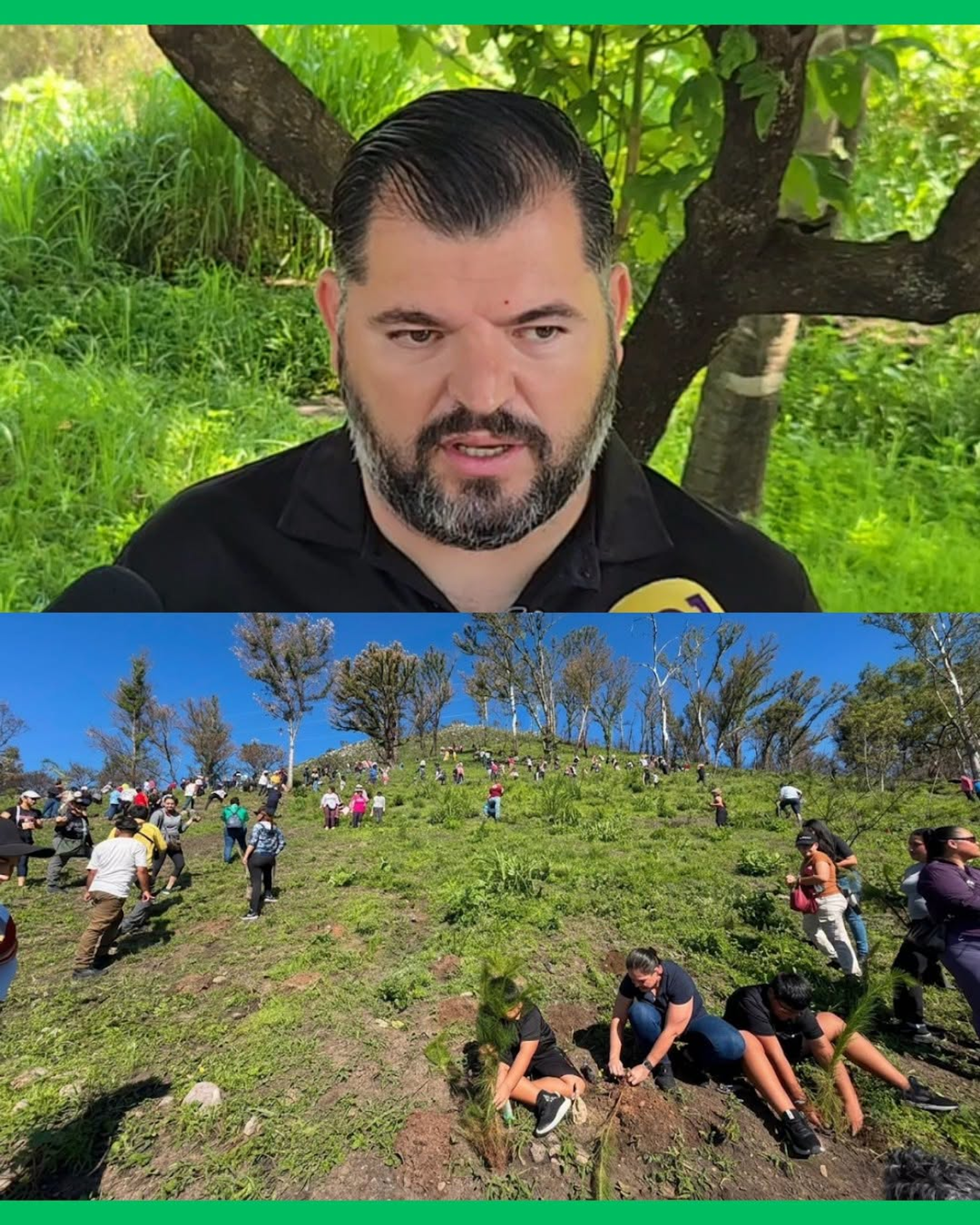 🌳🌱 ¡TEPIC YA SUPERA LOS 38 MIL ÁRBOLES PLANTADOS Y VA POR LA META DE 70 MIL!