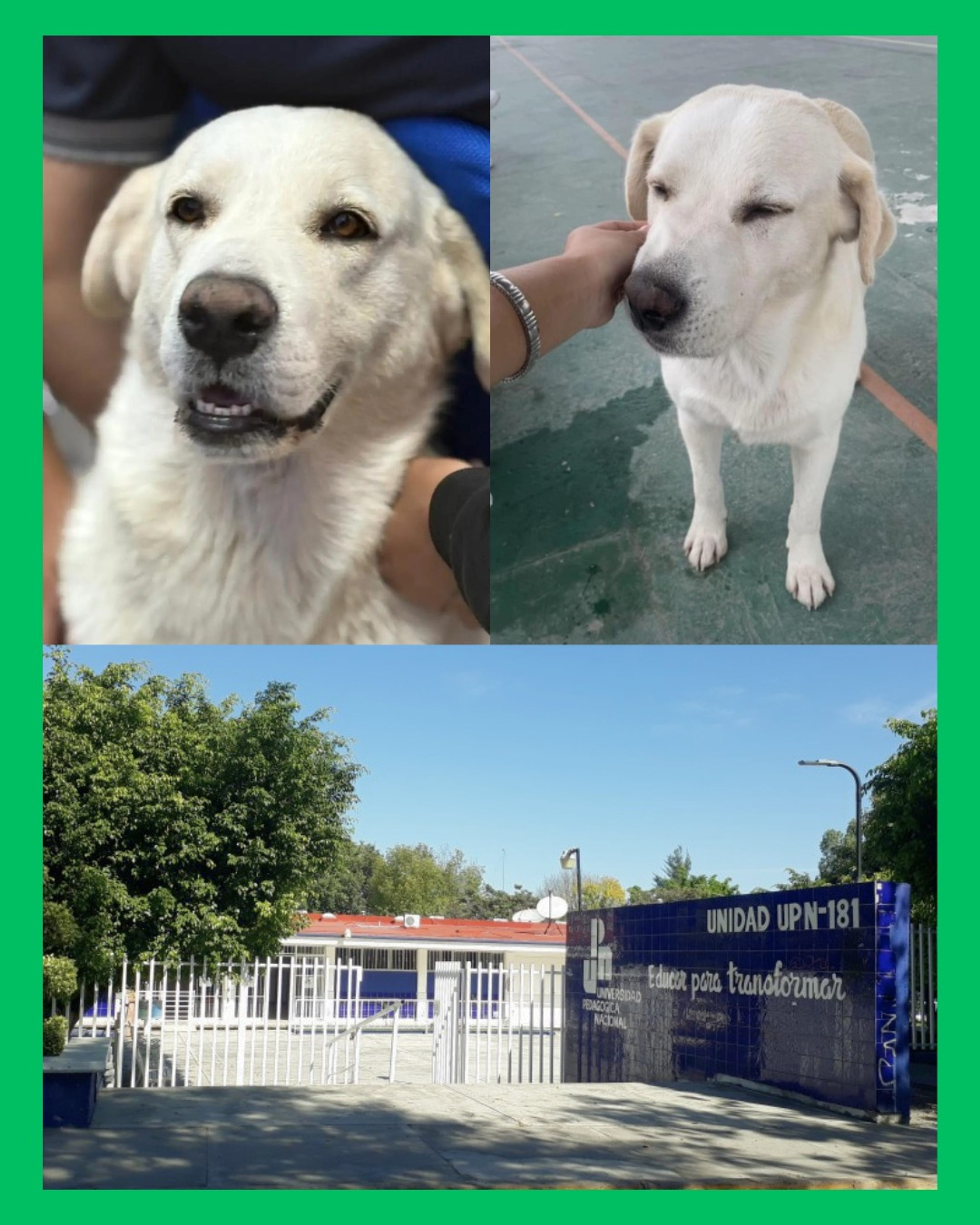  ¡YA ENCONTRARON A ALBA! Y TAMBIÉN UBICAN AL RESPONSABLE DE SU EXTRAVÍO