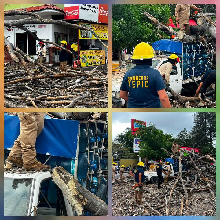 ÁRBOL CAÍDO DERRIBA KIOSCO Y ATRAPA CAMIONETA