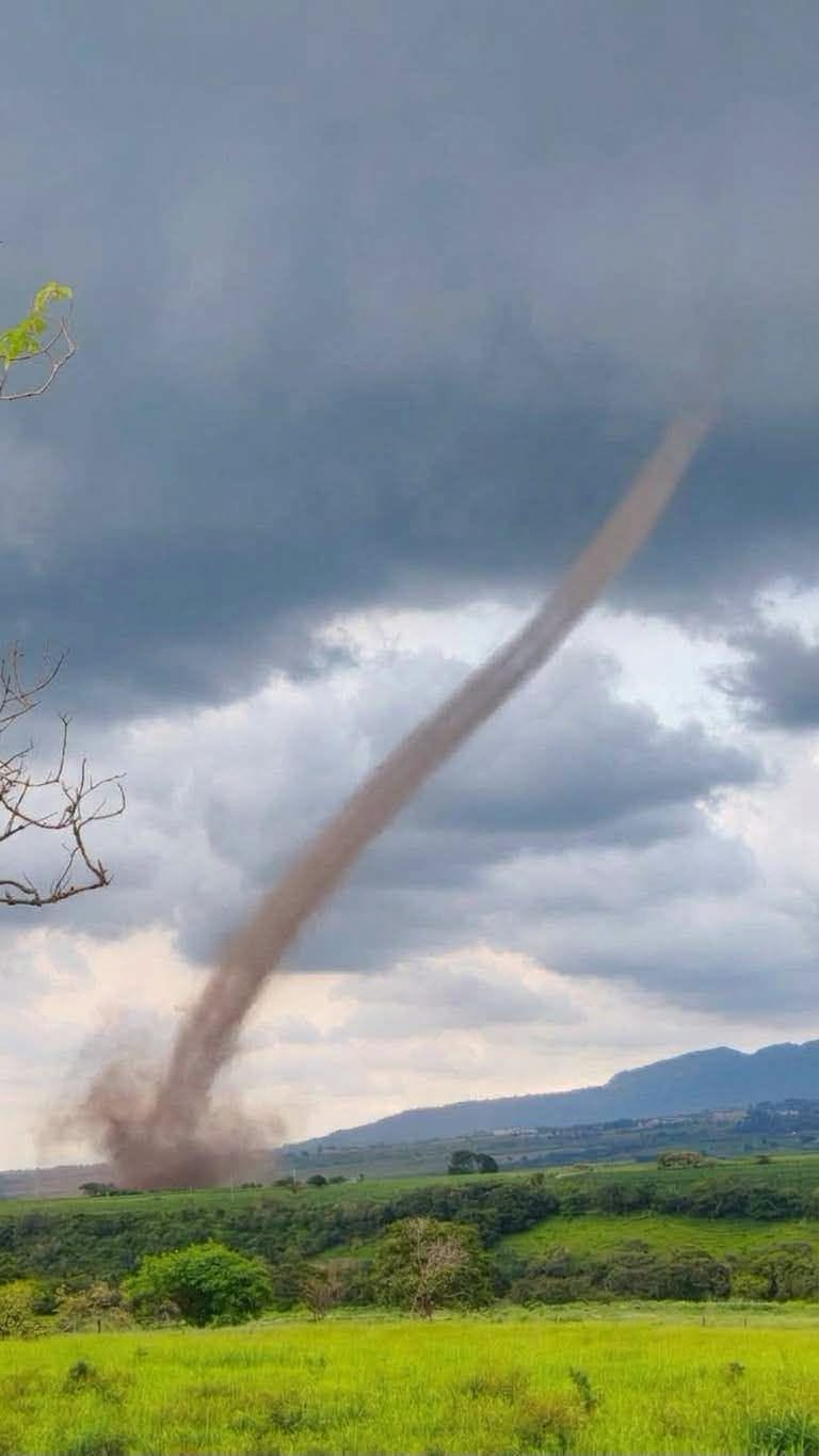 ¡SE FORMÓ UNA CULEBRA EN XALISCO!