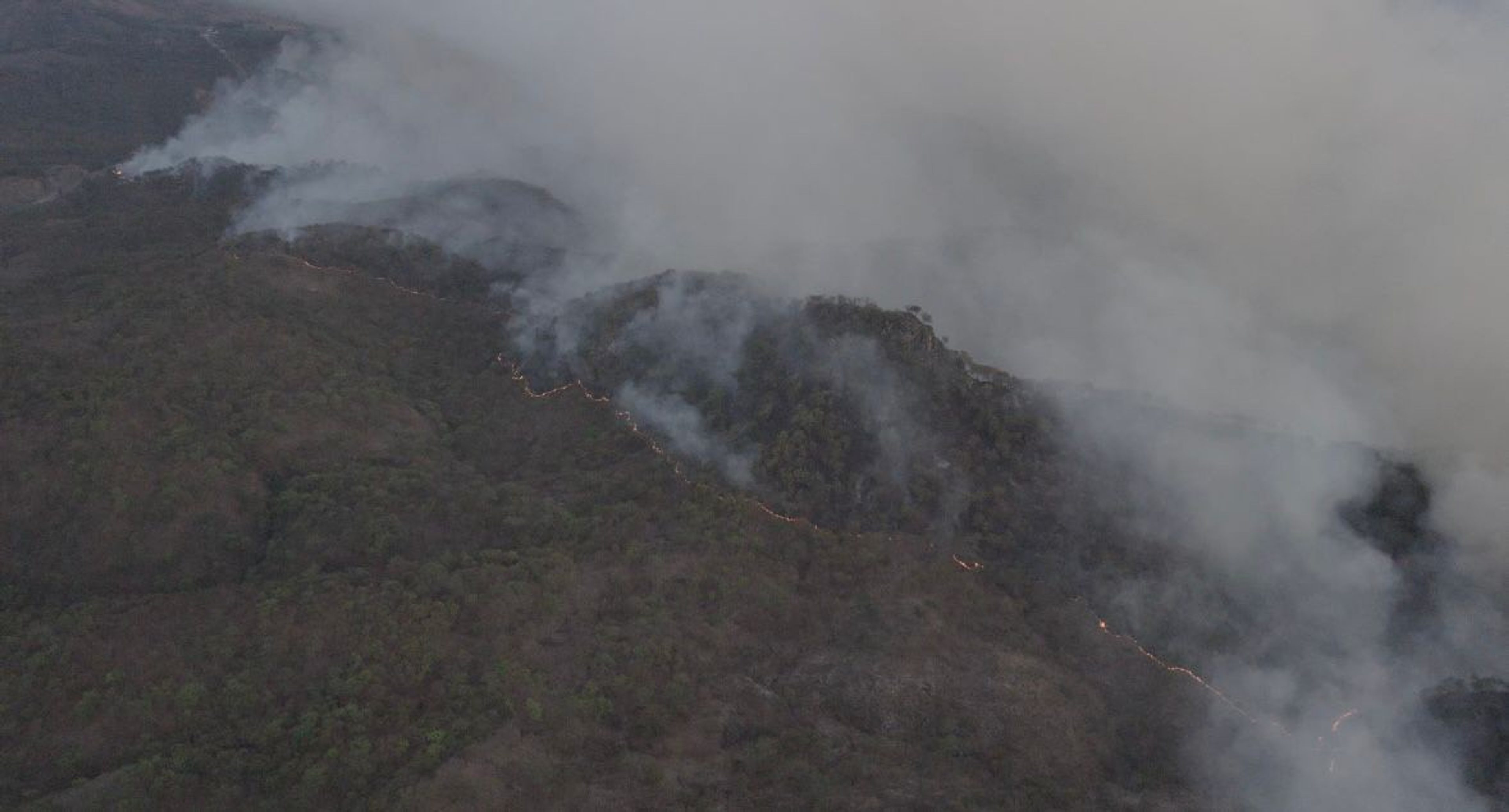 ⚠️ INFORMACIÓN OPERATIVA INCENDIO FORESTAL “LOMAS DE LOS LOBOS”🔥