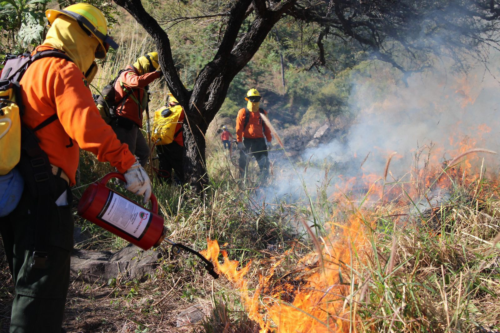 INCENDIO CONTROLADO EN EL CERRO
