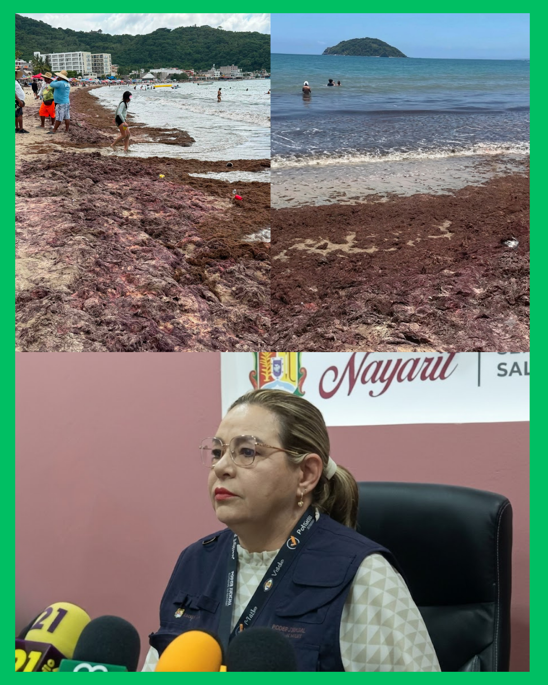 ¡LLEGA SARGAZO A GUAYABITOS! AUTORIDADES ASEGURAN QUE LAS PLAYAS SIGUEN SIENDO SEGURAS