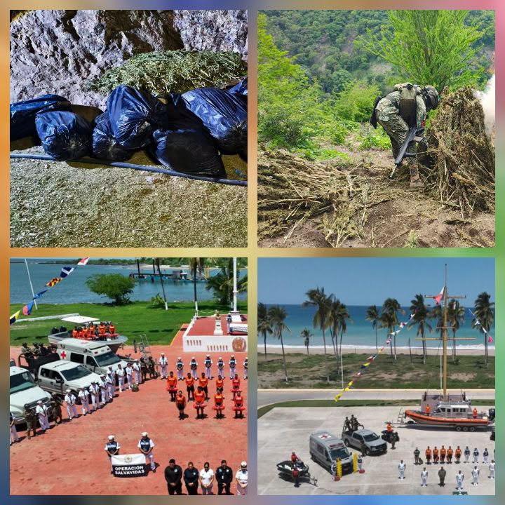 ASEGURAN MÁS DE 790 KILOS DE MARIHUANA Y REFUERZAN OPERATIVOS EN NAYARIT