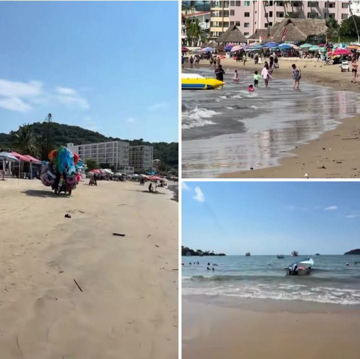 ¡GUAYABITOS RECUPERA SU BRILLO! PLAYA AMANECE LIBRE DE MACROALGA