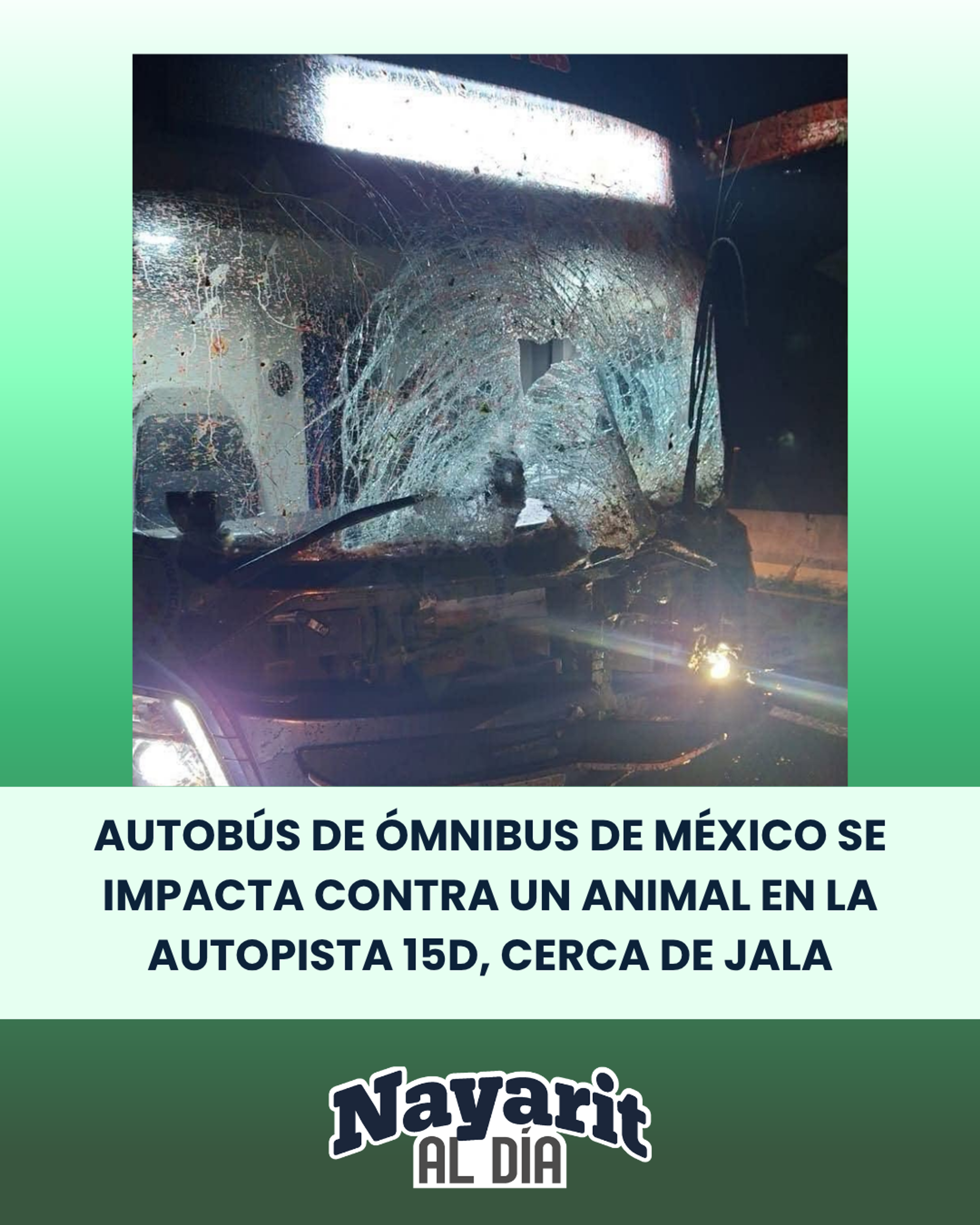 🚨 AUTOBÚS DE ÓMNIBUS DE MÉXICO SE IMPACTA CONTRA UN ANIMAL EN LA AUTOPISTA 15D, CERCA DE JALA🚨