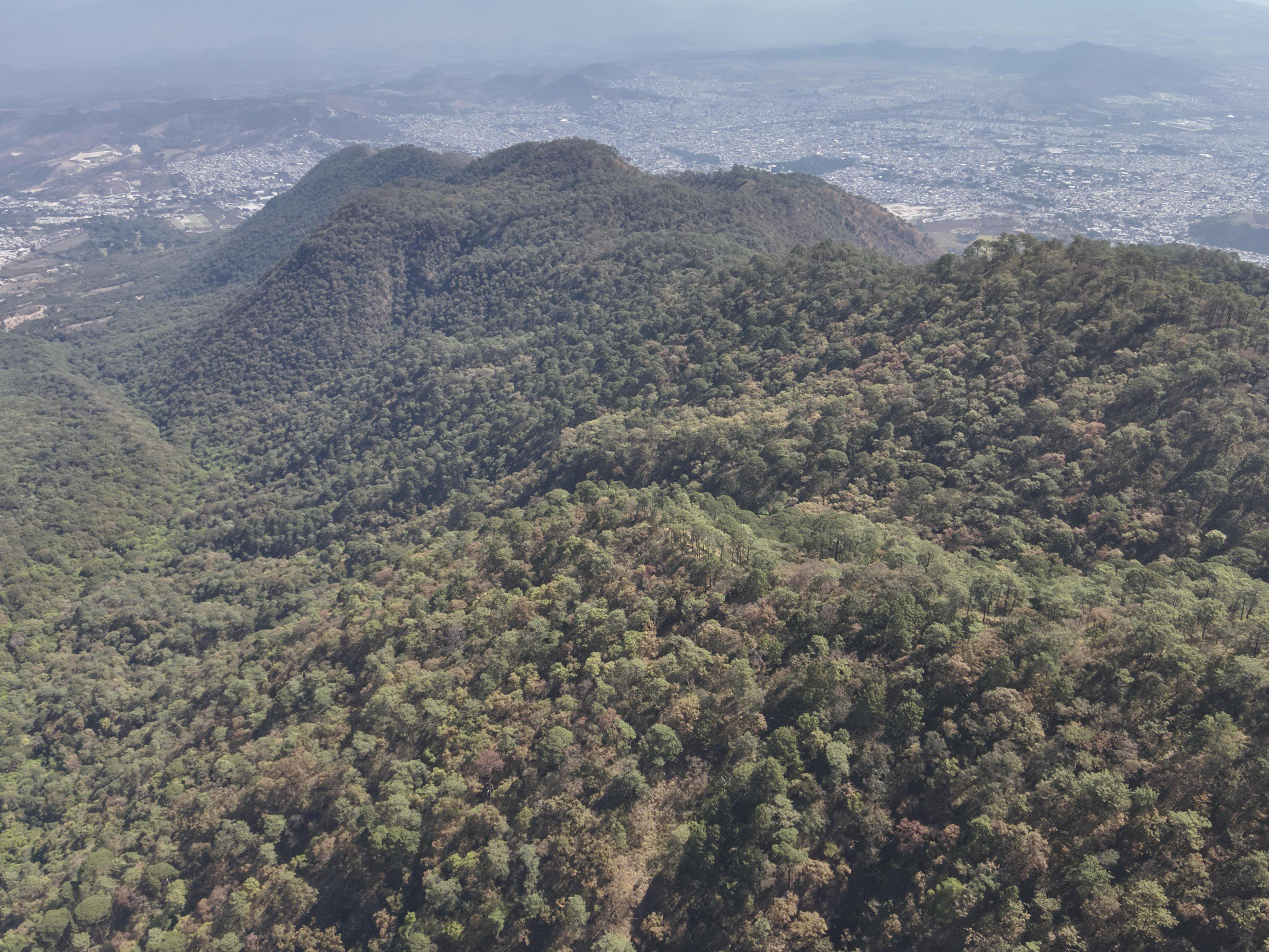 SE COORDINAN PARA ATENDER INCENDIOS FORESTALES en tepic 