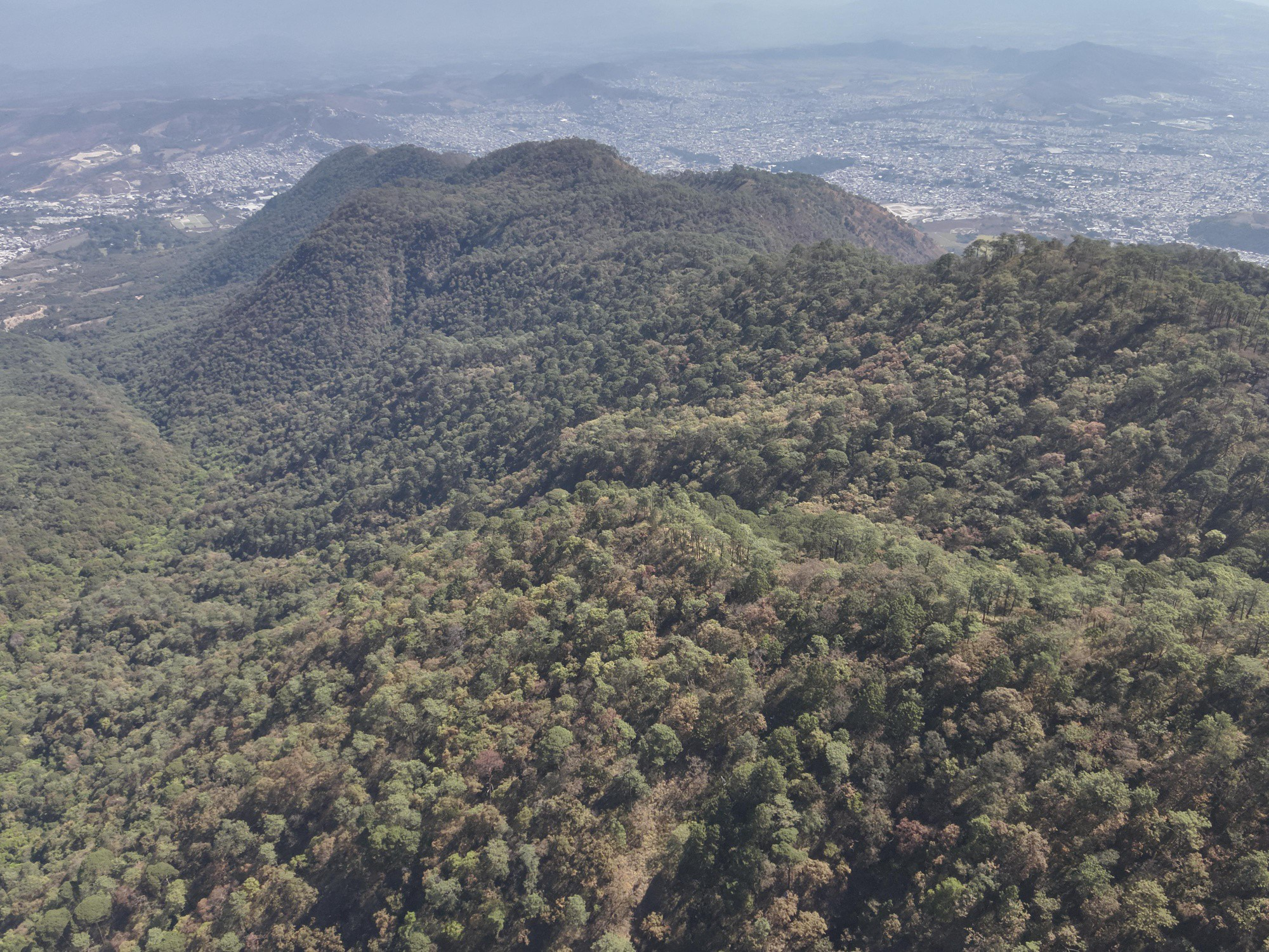 SE COORDINAN PARA ATENDER INCENDIOS FORESTALES en tepic