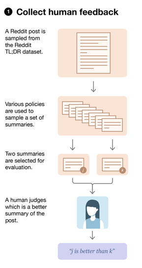 Collect Human Feedback Step