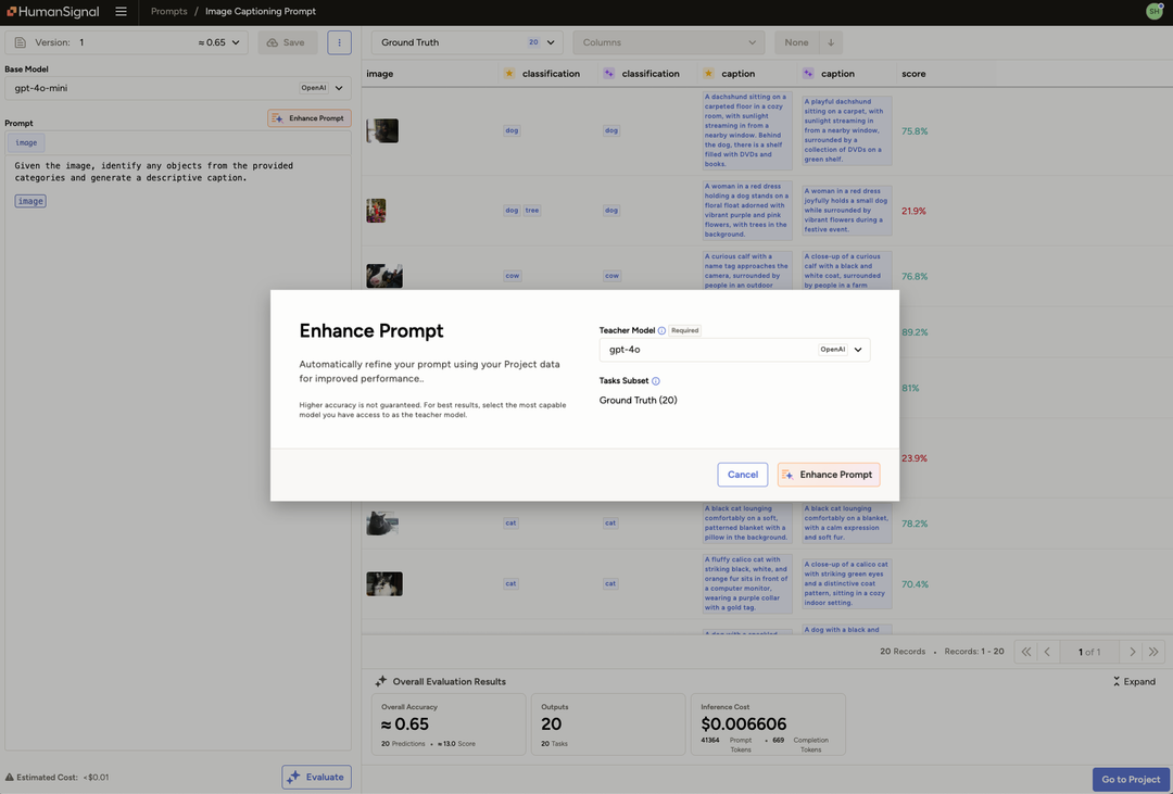 Pre-Label Image Captions with Label Studio Prompts | HumanSignal