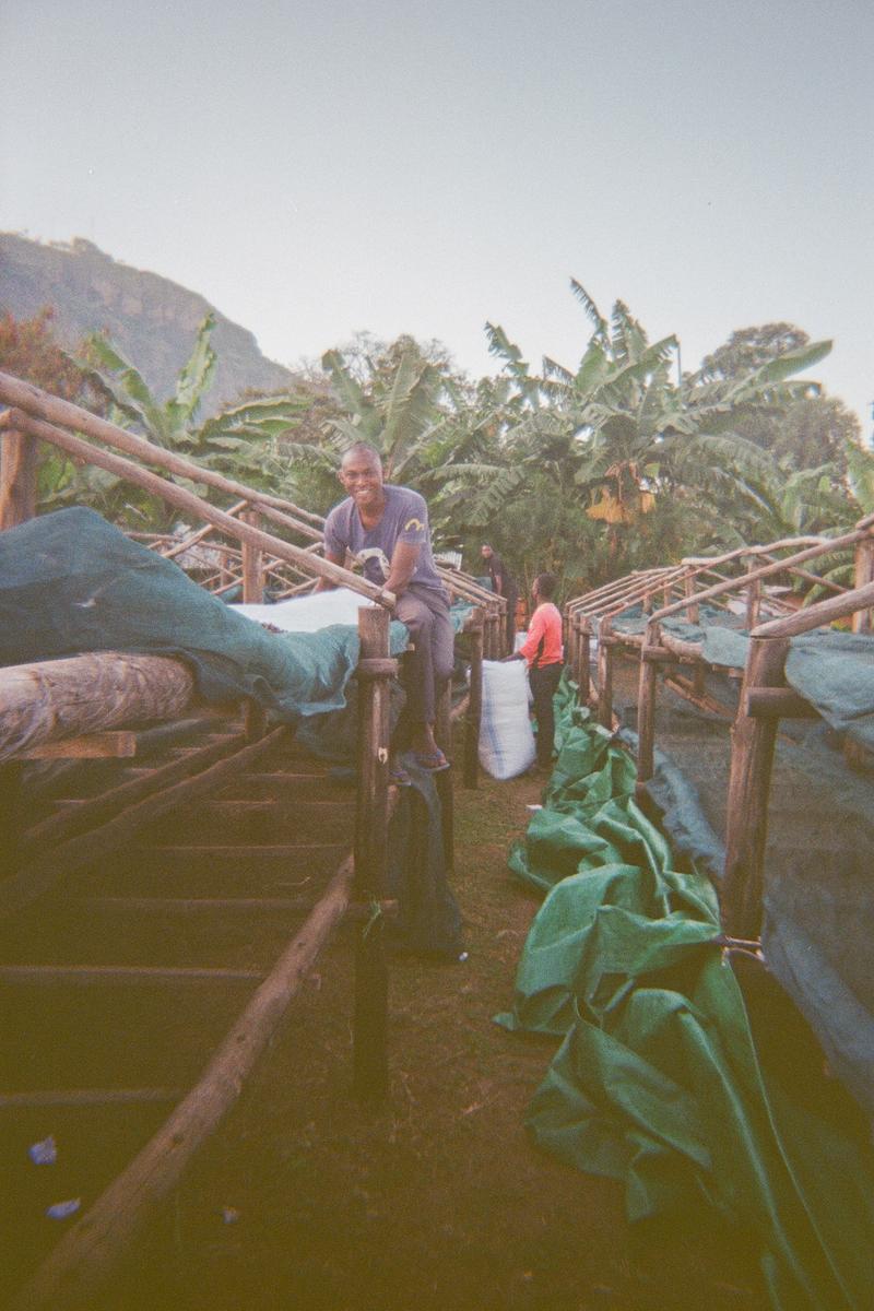 Workers at Muyanda Site packing coffee in the bags for storage