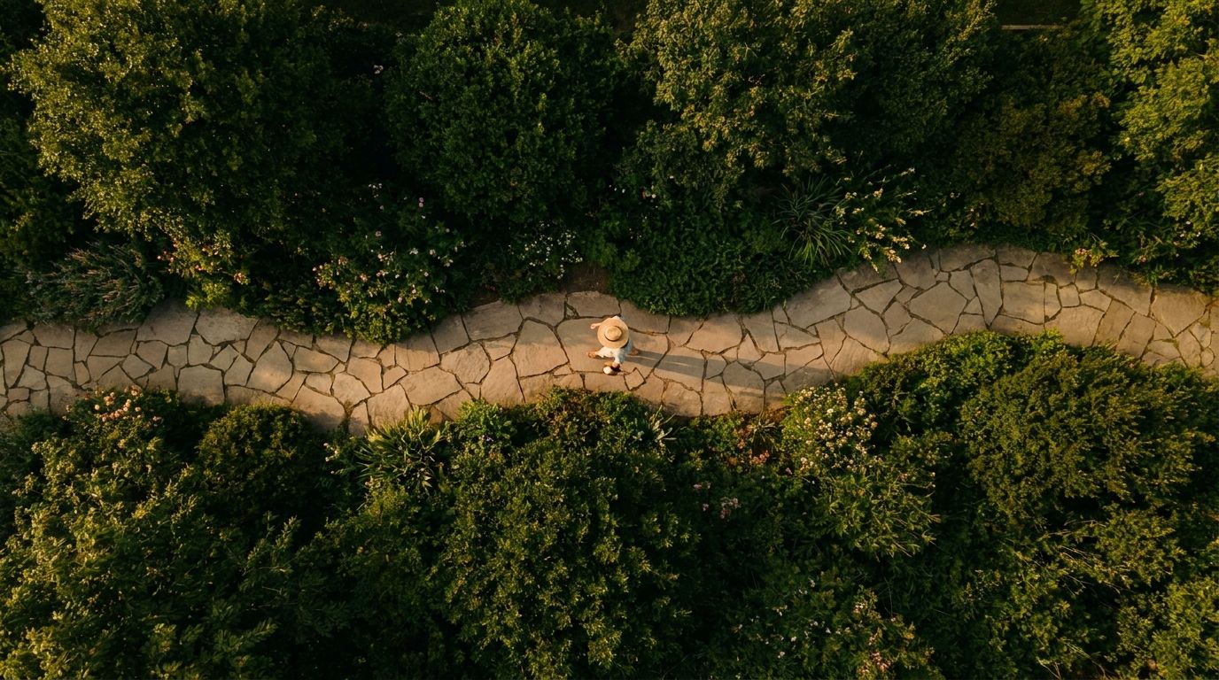 person navigating stone path through green shrubbery symbolizing navigating your financial path through obstacles