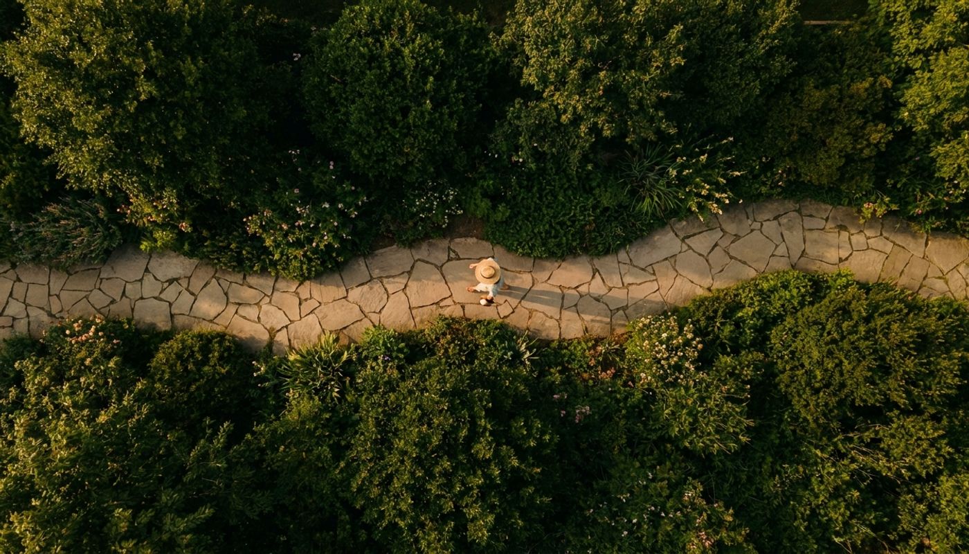 person navigating stone path through green shrubbery symbolizing navigating your financial path through obstacles