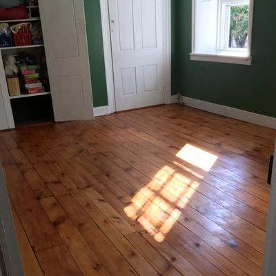 Sunlight on a wood floor